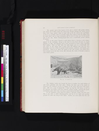 Scientific Results of a Journey in Central Asia, 1899-1902 : vol.4 : Page 558