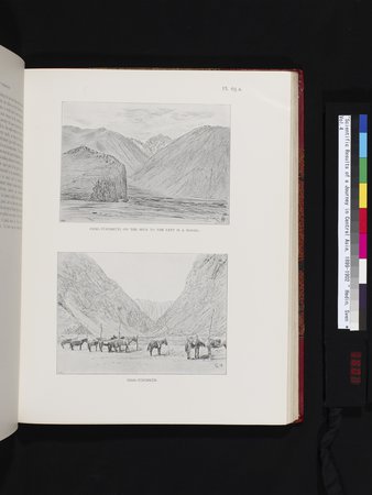 Scientific Results of a Journey in Central Asia, 1899-1902 : vol.4 : Page 603