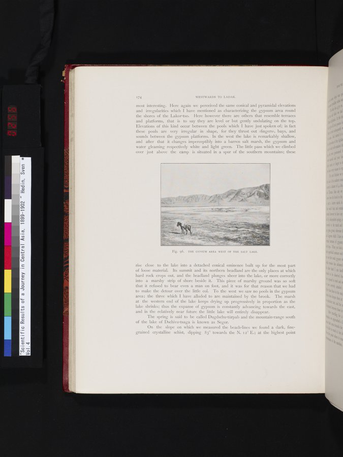 Scientific Results of a Journey in Central Asia, 1899-1902 : vol.4 / 256 ページ（カラー画像）