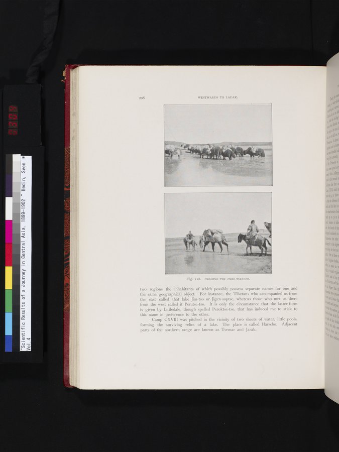 Scientific Results of a Journey in Central Asia, 1899-1902 : vol.4 / 304 ページ（カラー画像）