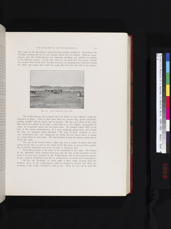 Scientific Results of a Journey in Central Asia, 1899-1902 : vol.4 / 313 ページ（カラー画像）