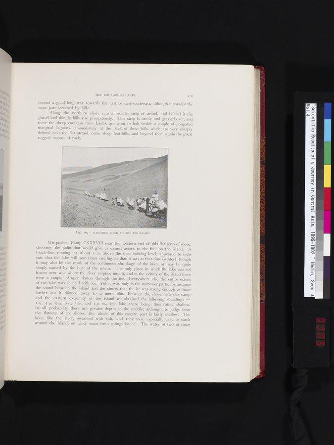 Scientific Results of a Journey in Central Asia, 1899-1902 : vol.4 / 385 ページ（カラー画像）
