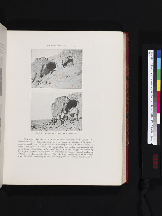 Scientific Results of a Journey in Central Asia, 1899-1902 : vol.4 / 391 ページ（カラー画像）