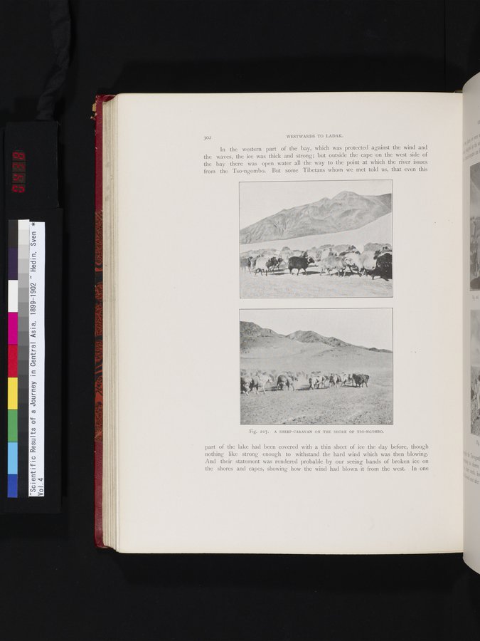 Scientific Results of a Journey in Central Asia, 1899-1902 : vol.4 / 438 ページ（カラー画像）