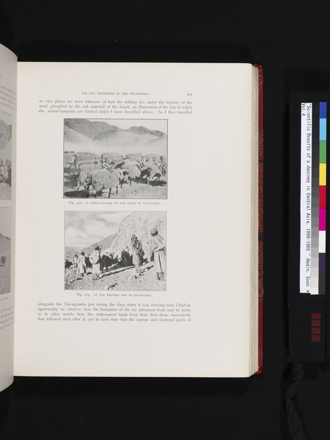 Scientific Results of a Journey in Central Asia, 1899-1902 : vol.4 / 439 ページ（カラー画像）