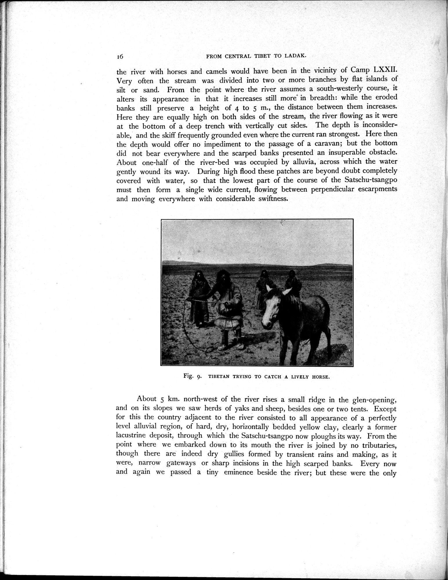 Scientific Results of a Journey in Central Asia, 1899-1902 : vol.4 / Page 28 (Grayscale High Resolution Image)
