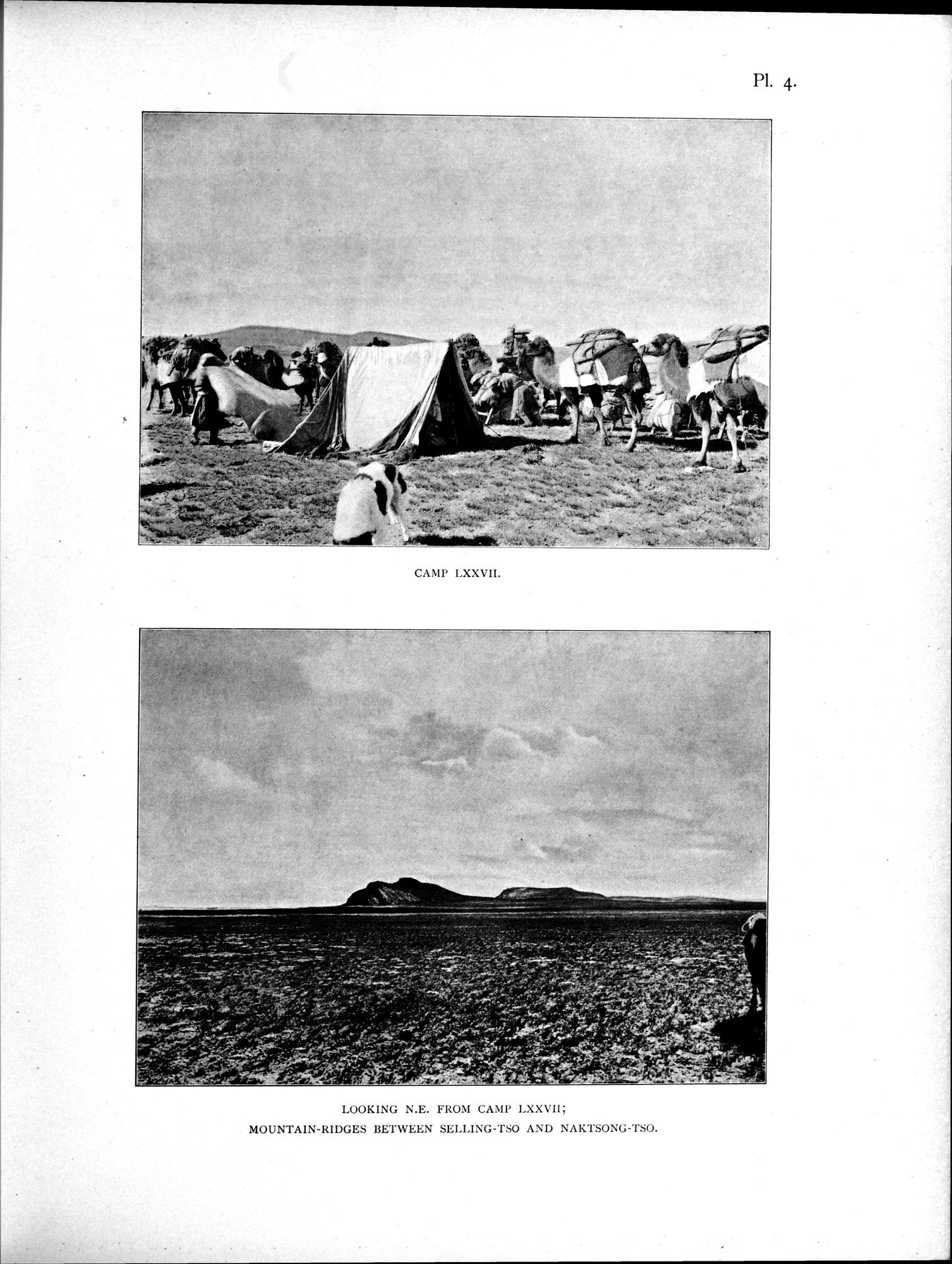 Scientific Results of a Journey in Central Asia, 1899-1902 : vol.4 / 59 ページ（白黒高解像度画像）