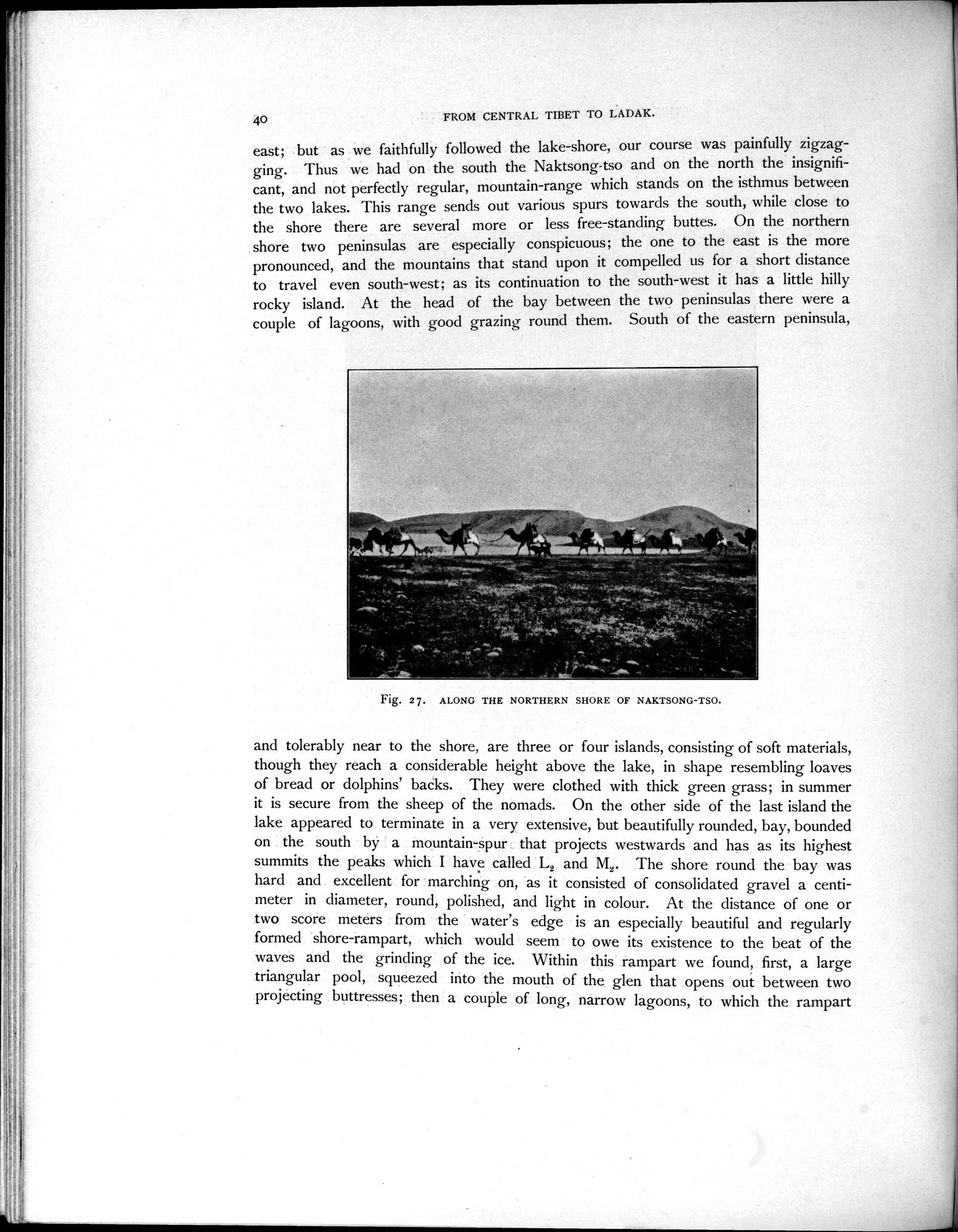 Scientific Results of a Journey in Central Asia, 1899-1902 : vol.4 / 64 ページ（白黒高解像度画像）