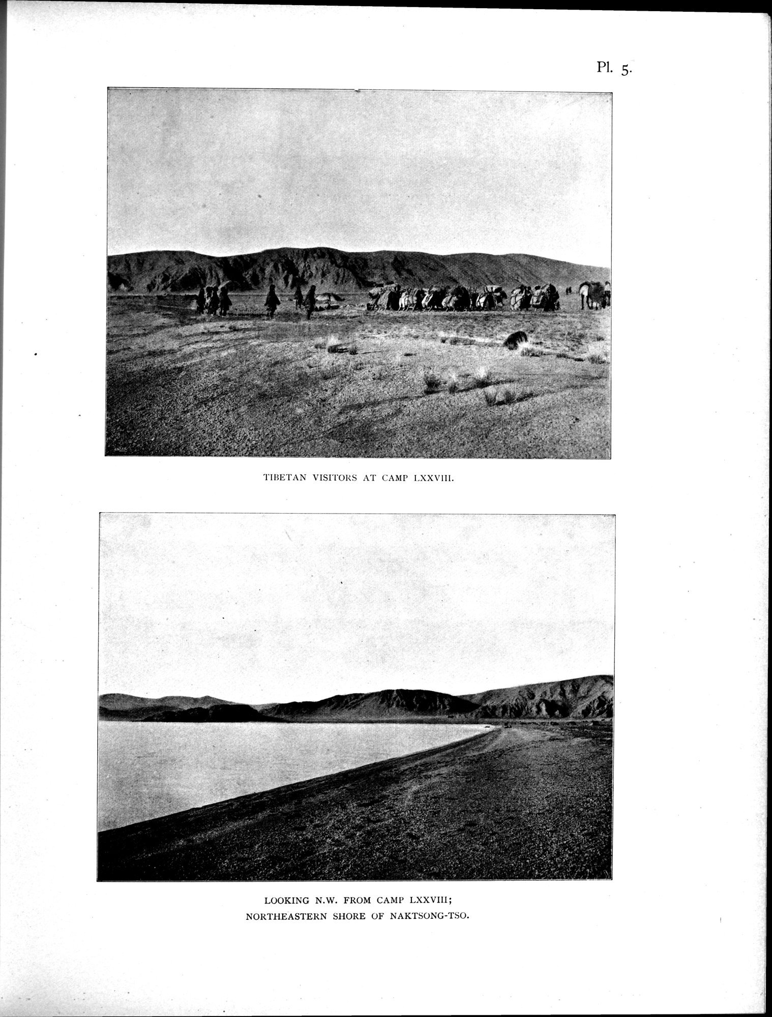 Scientific Results of a Journey in Central Asia, 1899-1902 : vol.4 / 65 ページ（白黒高解像度画像）