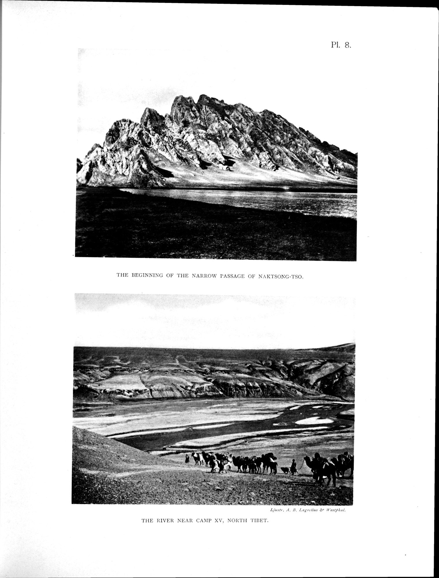Scientific Results of a Journey in Central Asia, 1899-1902 : vol.4 / 87 ページ（白黒高解像度画像）