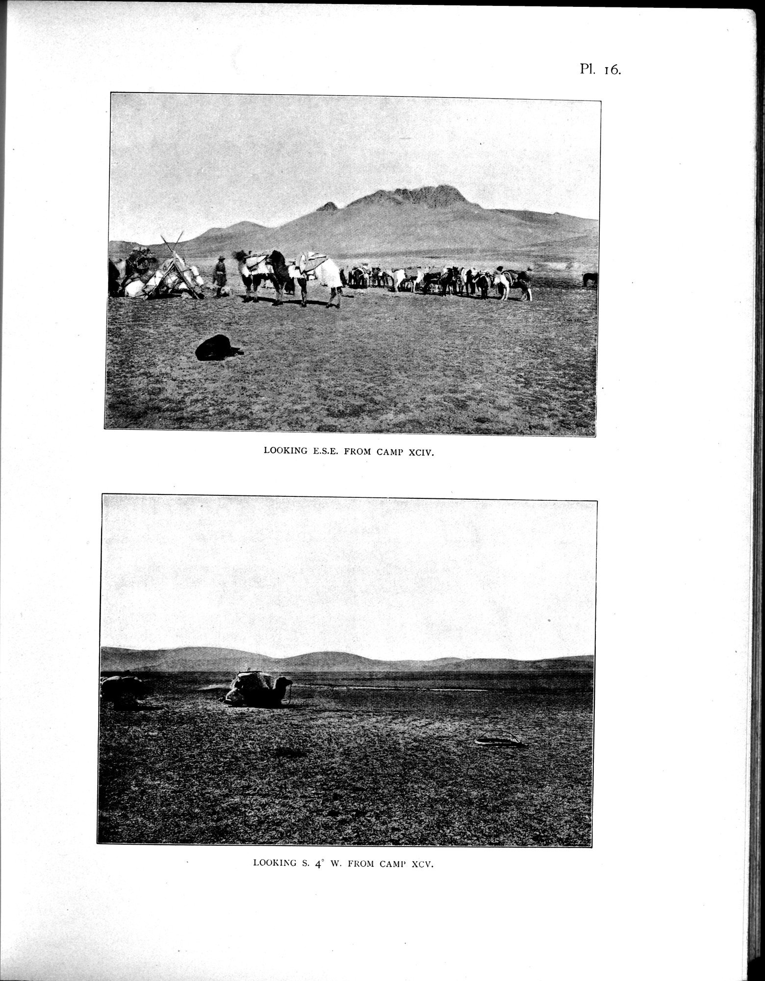 Scientific Results of a Journey in Central Asia, 1899-1902 : vol.4 / 167 ページ（白黒高解像度画像）