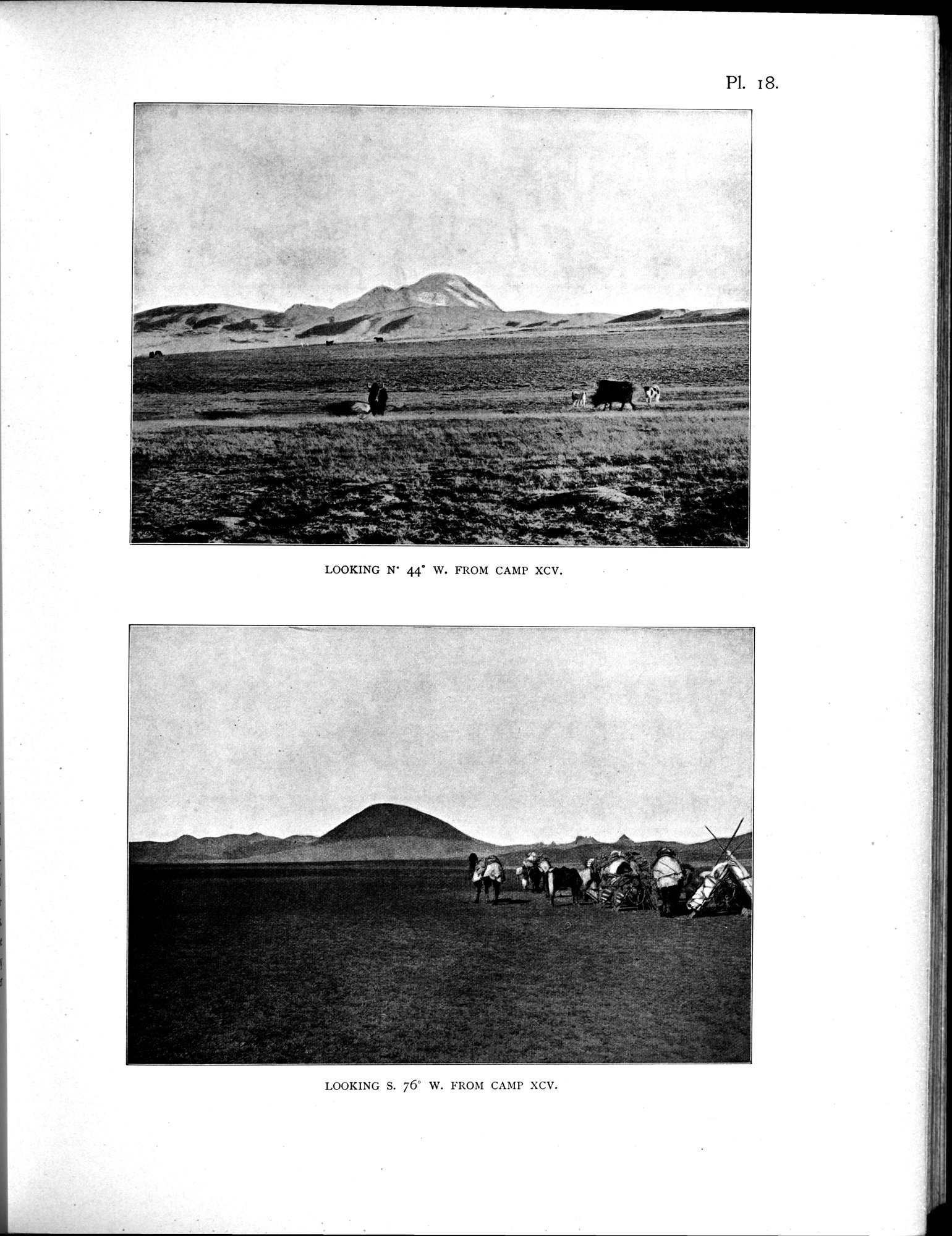 Scientific Results of a Journey in Central Asia, 1899-1902 : vol.4 / 175 ページ（白黒高解像度画像）