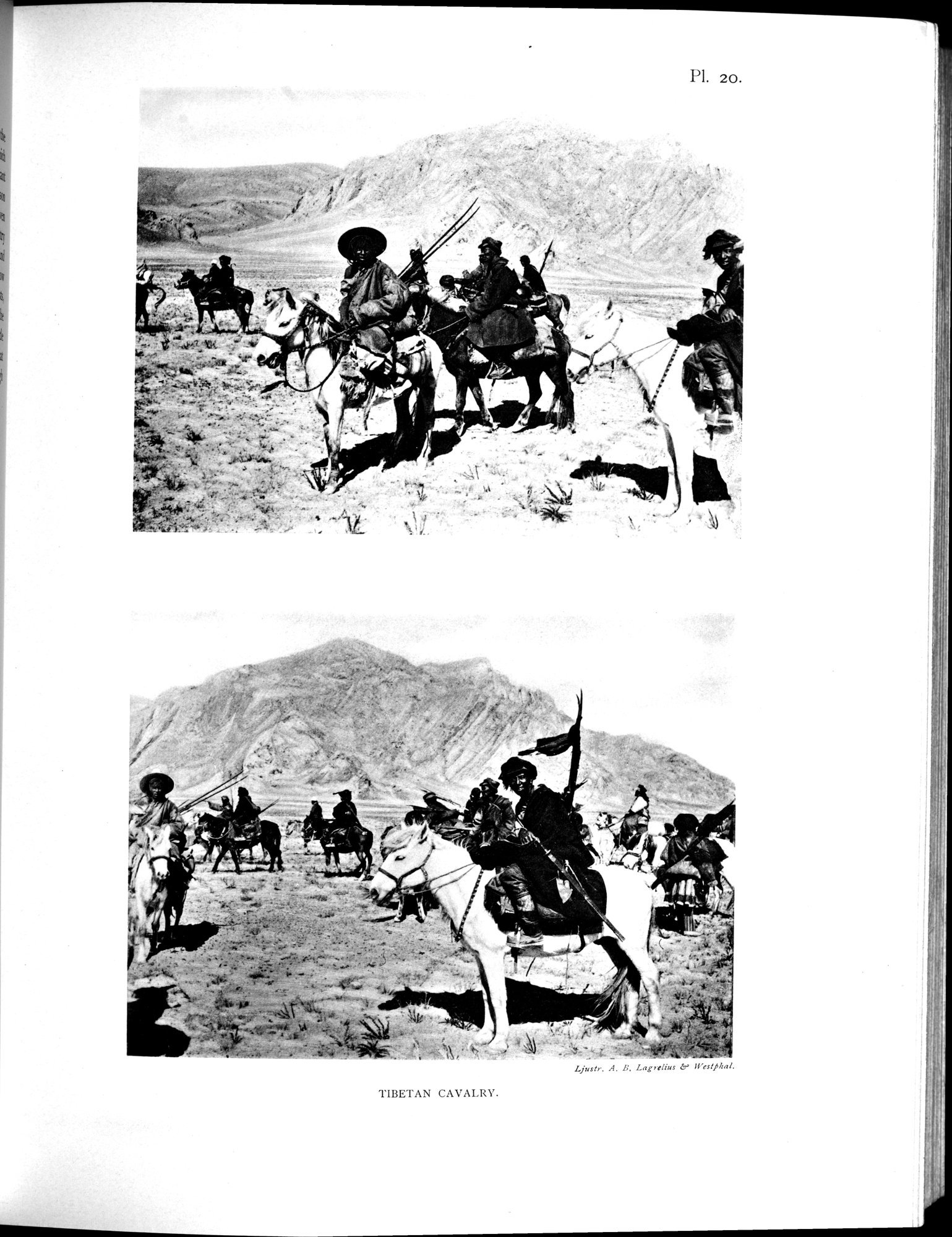 Scientific Results of a Journey in Central Asia, 1899-1902 : vol.4 / 191 ページ（白黒高解像度画像）