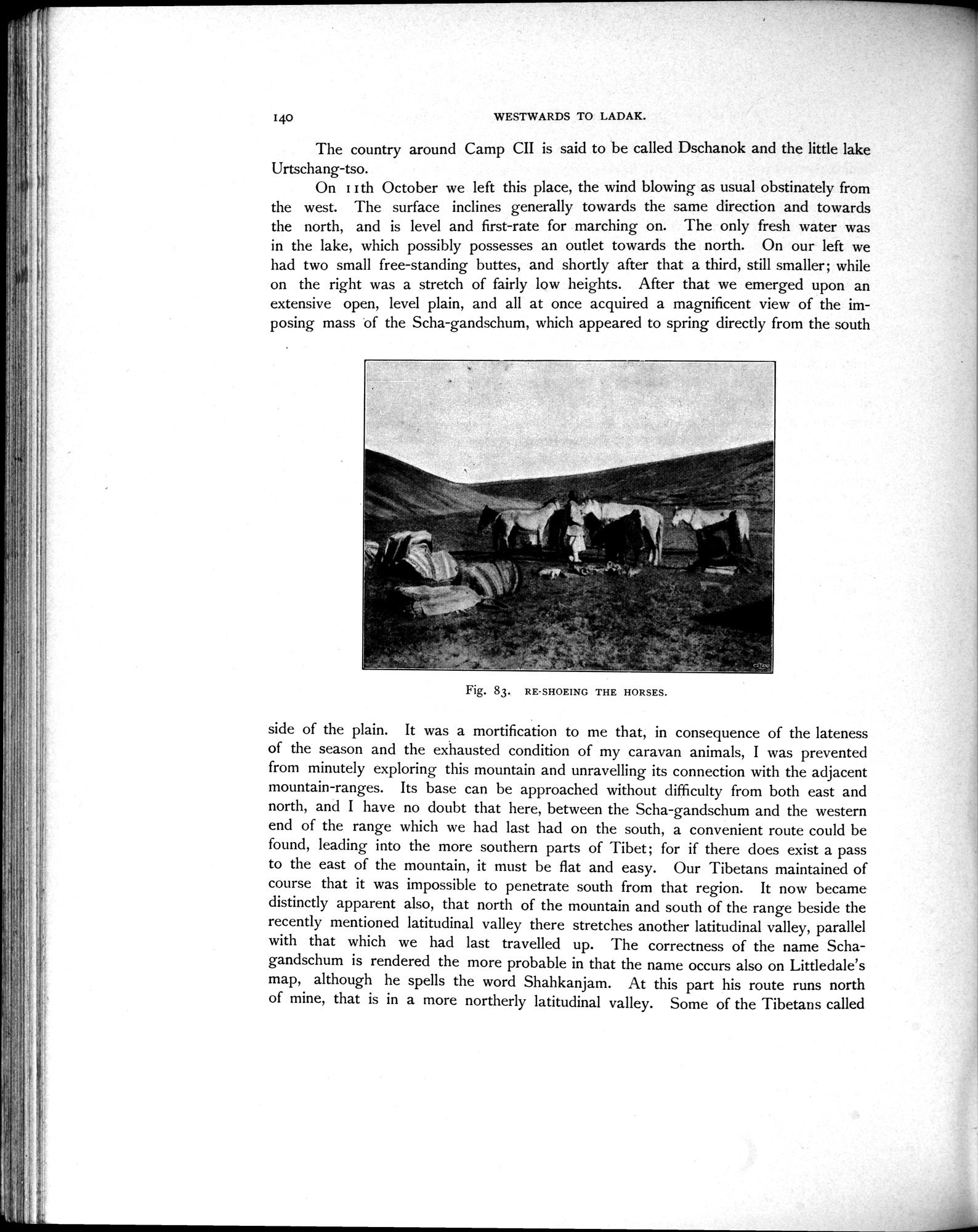 Scientific Results of a Journey in Central Asia, 1899-1902 : vol.4 / Page 196 (Grayscale High Resolution Image)