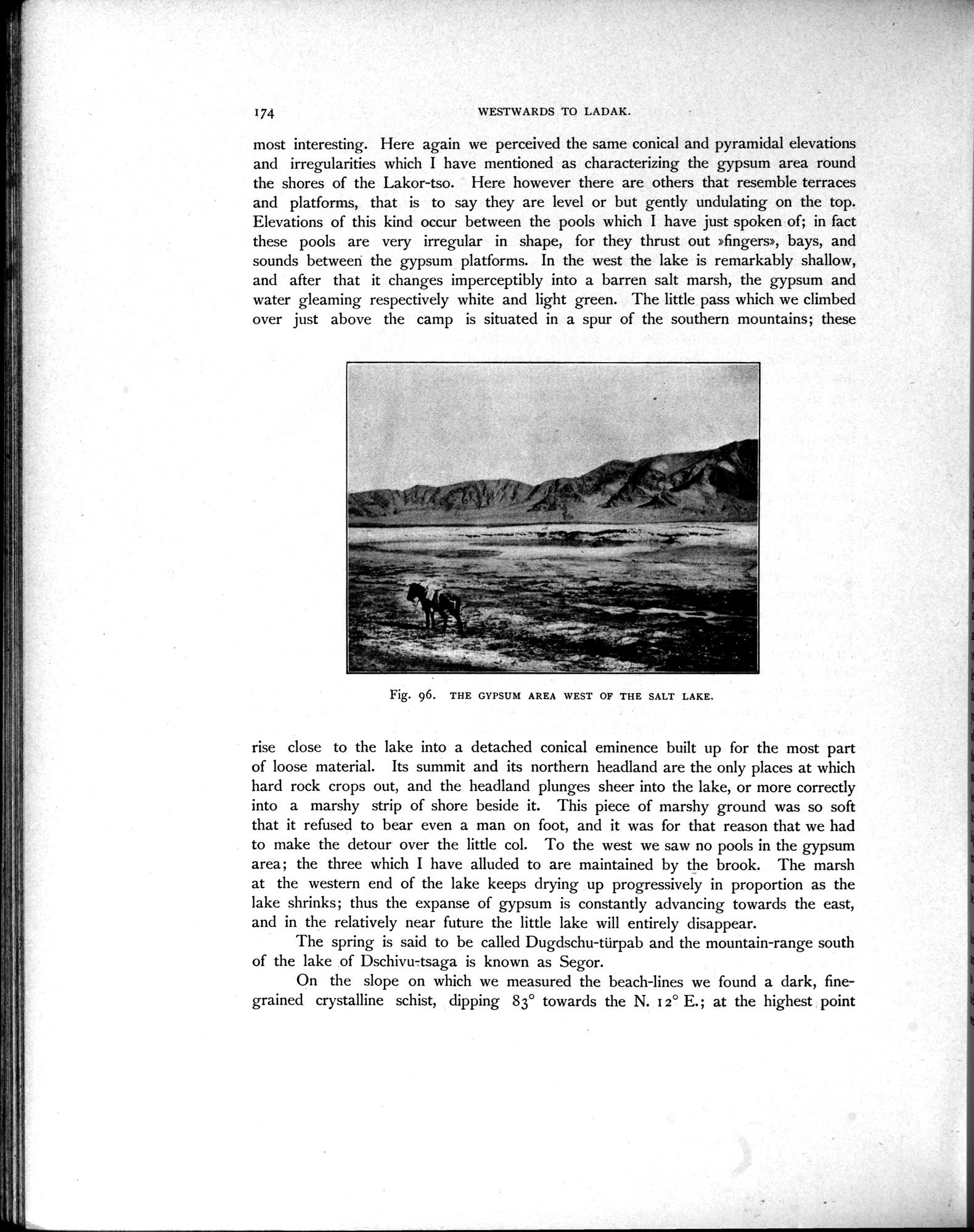 Scientific Results of a Journey in Central Asia, 1899-1902 : vol.4 / Page 256 (Grayscale High Resolution Image)