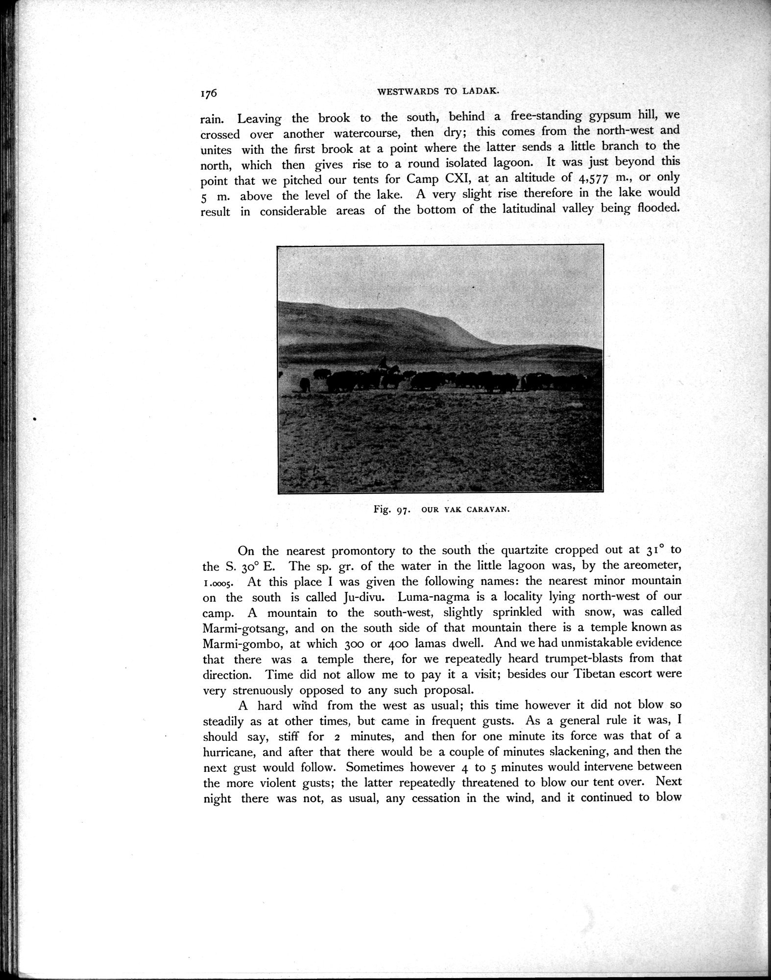 Scientific Results of a Journey in Central Asia, 1899-1902 : vol.4 / Page 258 (Grayscale High Resolution Image)