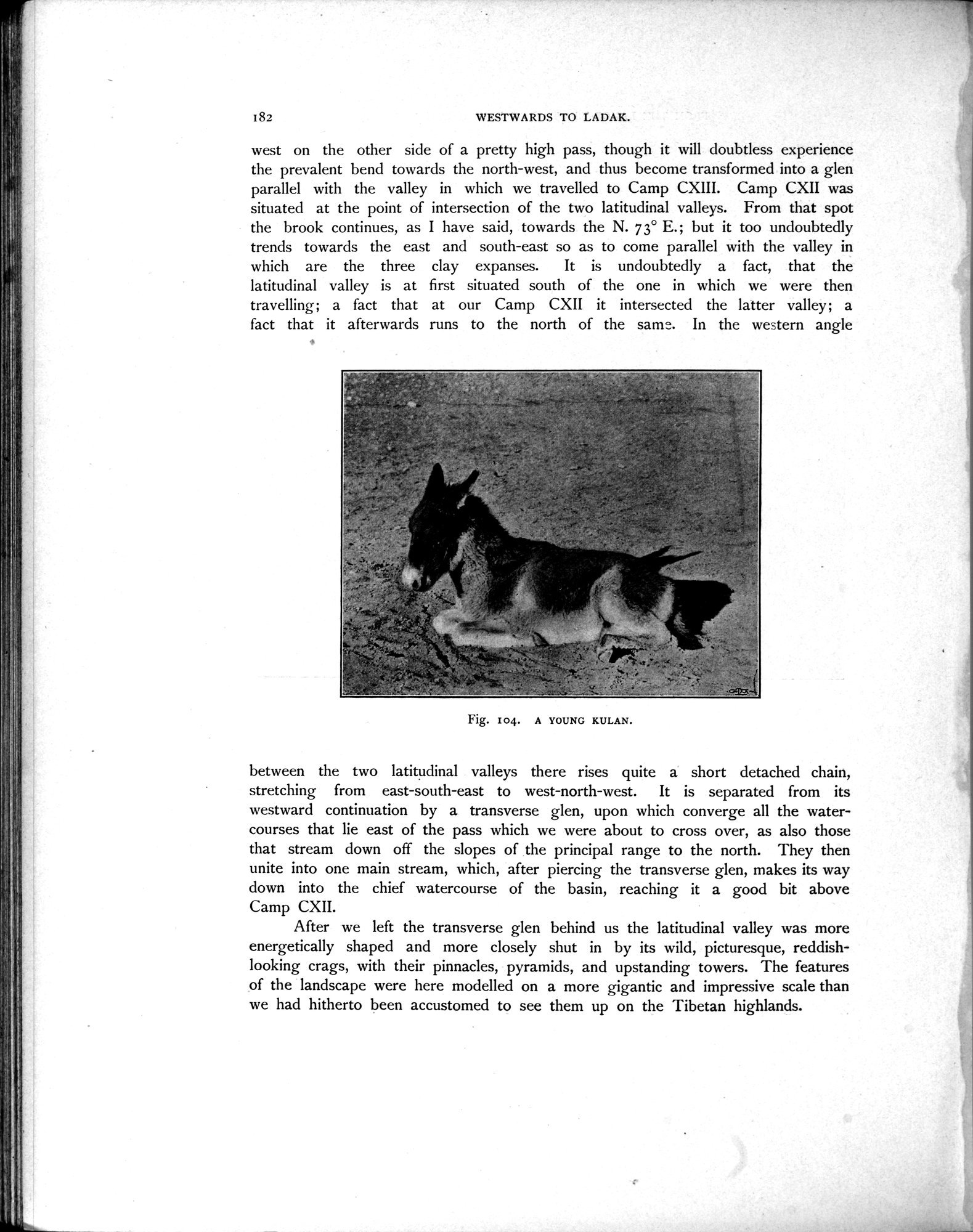 Scientific Results of a Journey in Central Asia, 1899-1902 : vol.4 / Page 266 (Grayscale High Resolution Image)