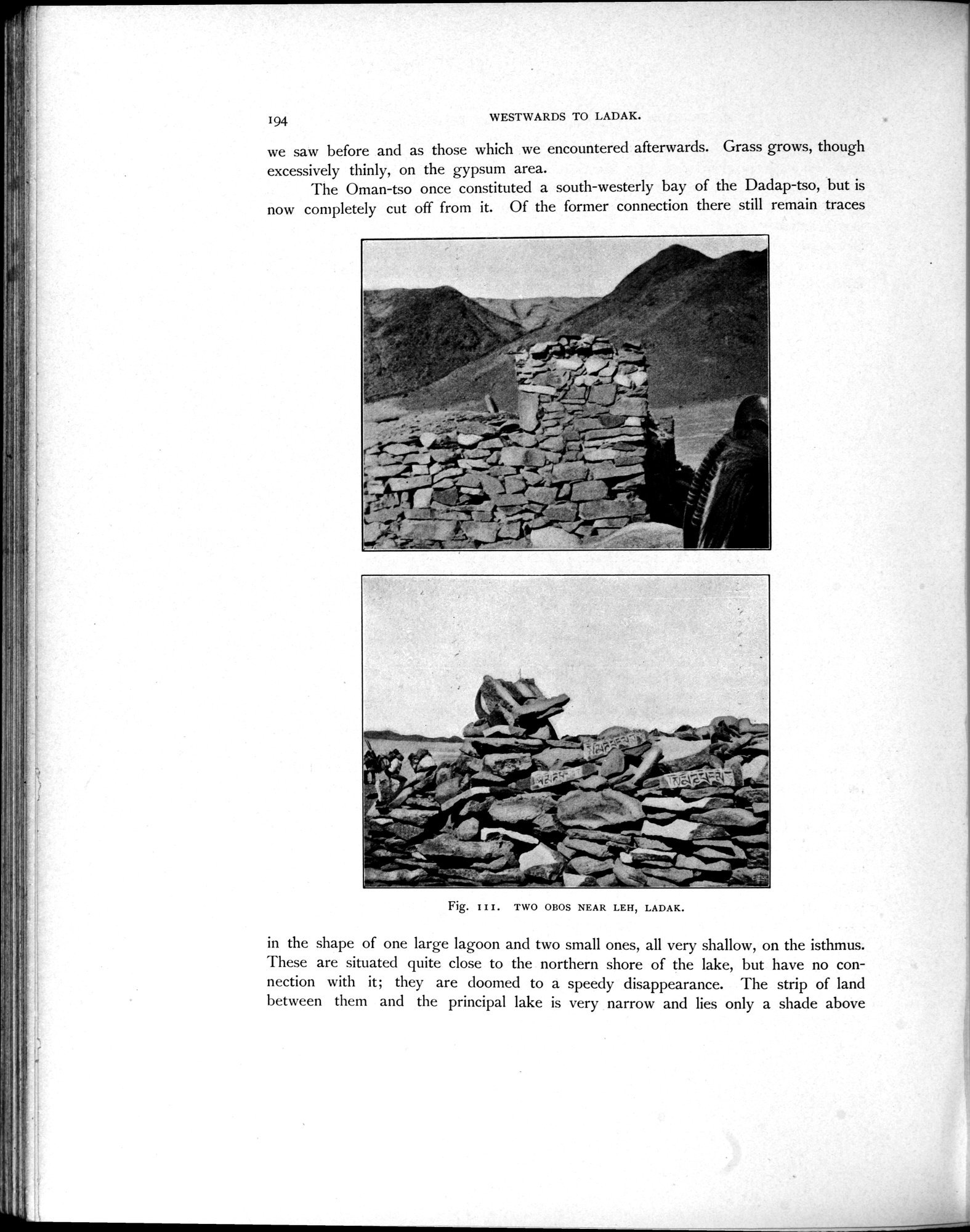 Scientific Results of a Journey in Central Asia, 1899-1902 : vol.4 / Page 290 (Grayscale High Resolution Image)
