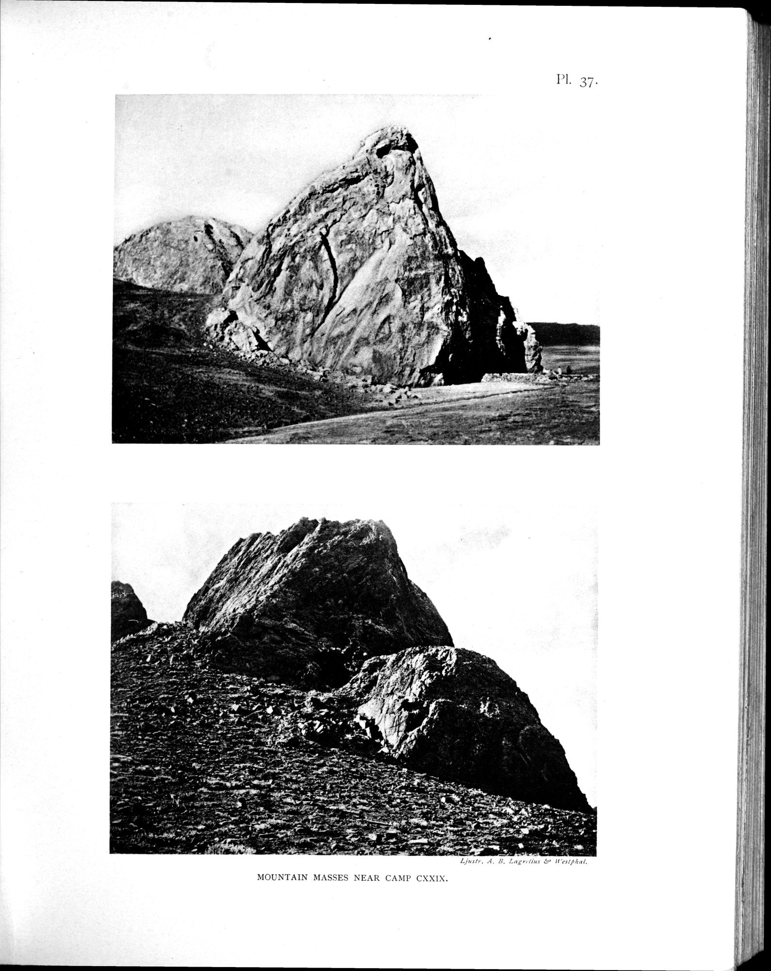Scientific Results of a Journey in Central Asia, 1899-1902 : vol.4 / 339 ページ（白黒高解像度画像）