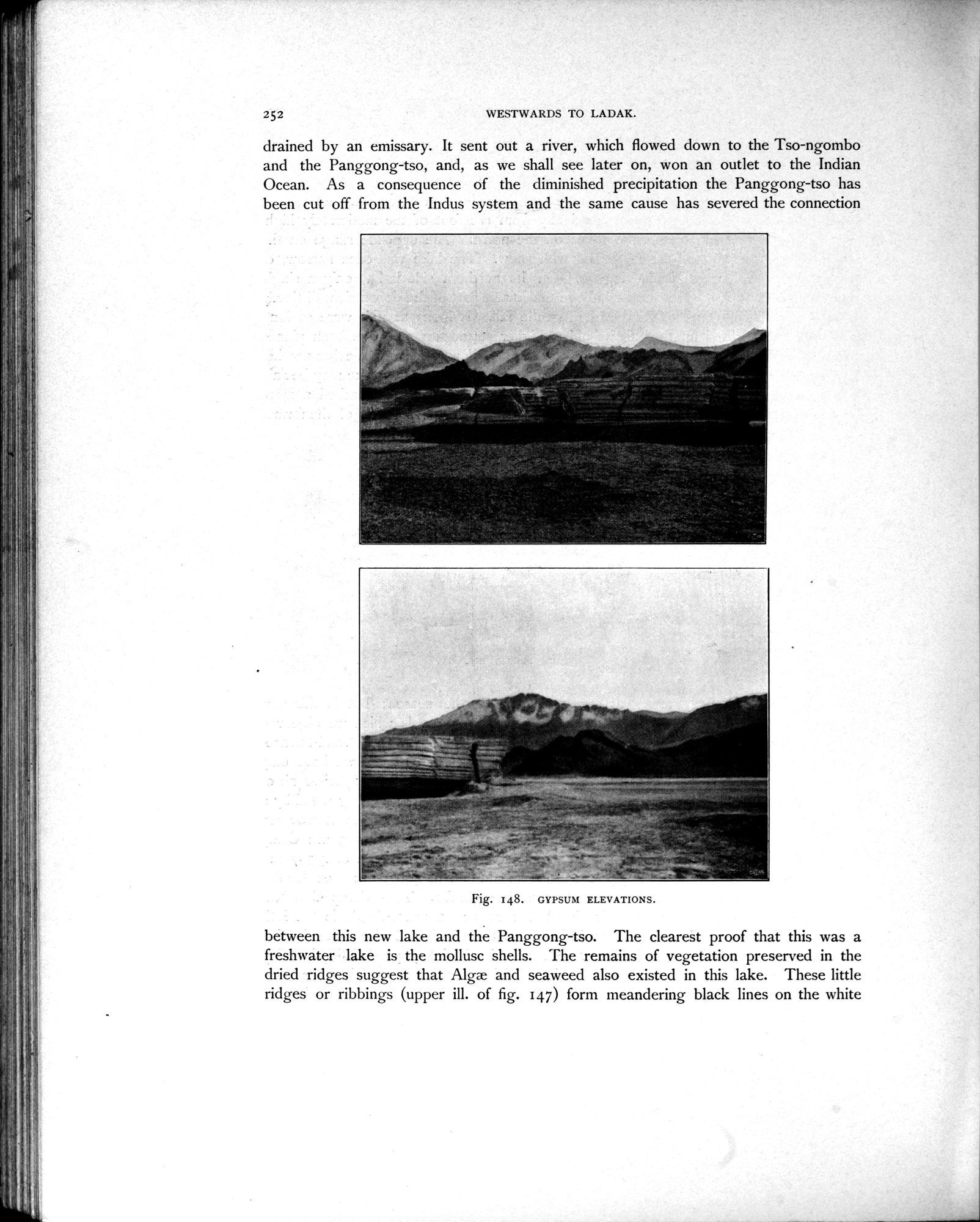 Scientific Results of a Journey in Central Asia, 1899-1902 : vol.4 / 356 ページ（白黒高解像度画像）