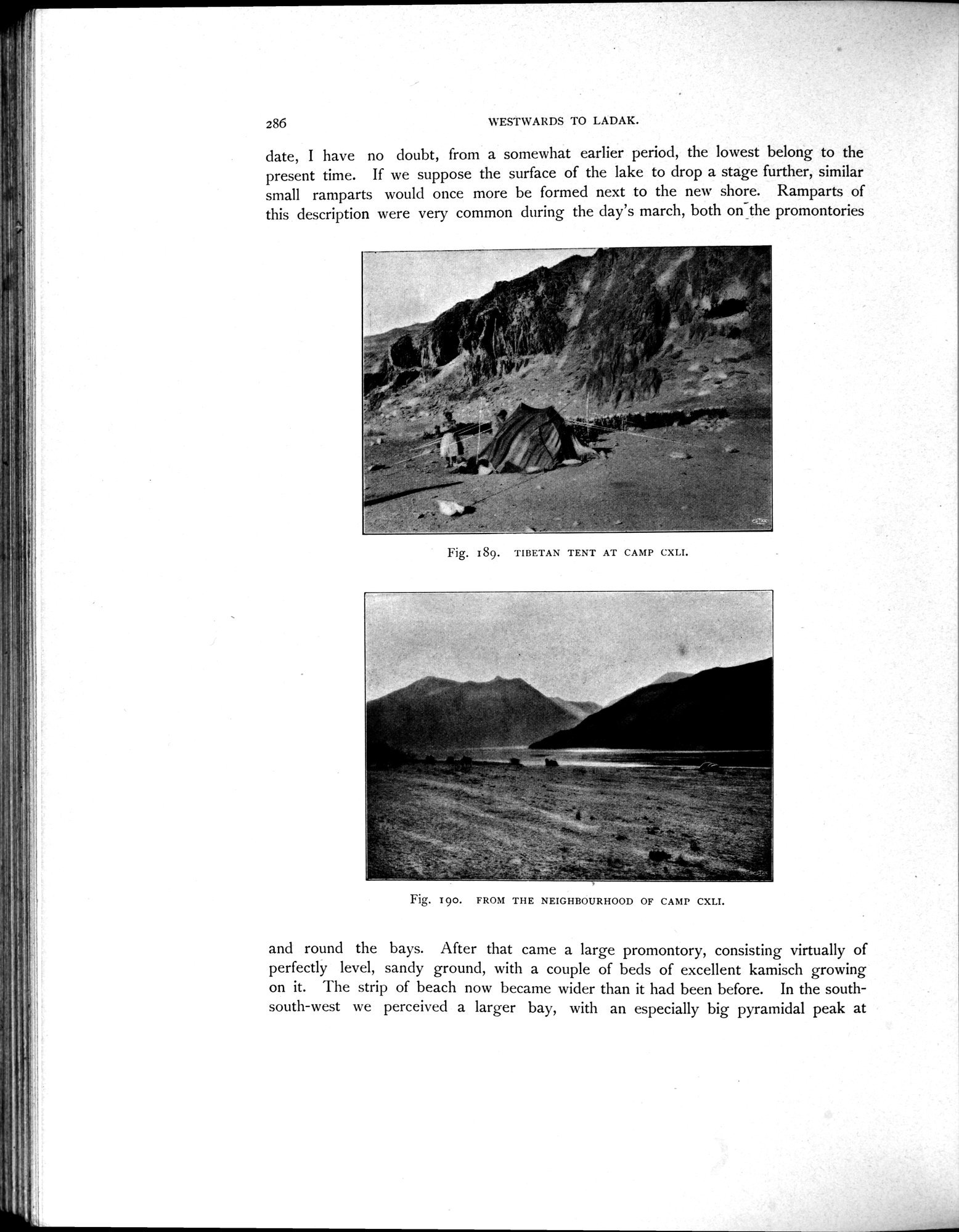Scientific Results of a Journey in Central Asia, 1899-1902 : vol.4 / 410 ページ（白黒高解像度画像）