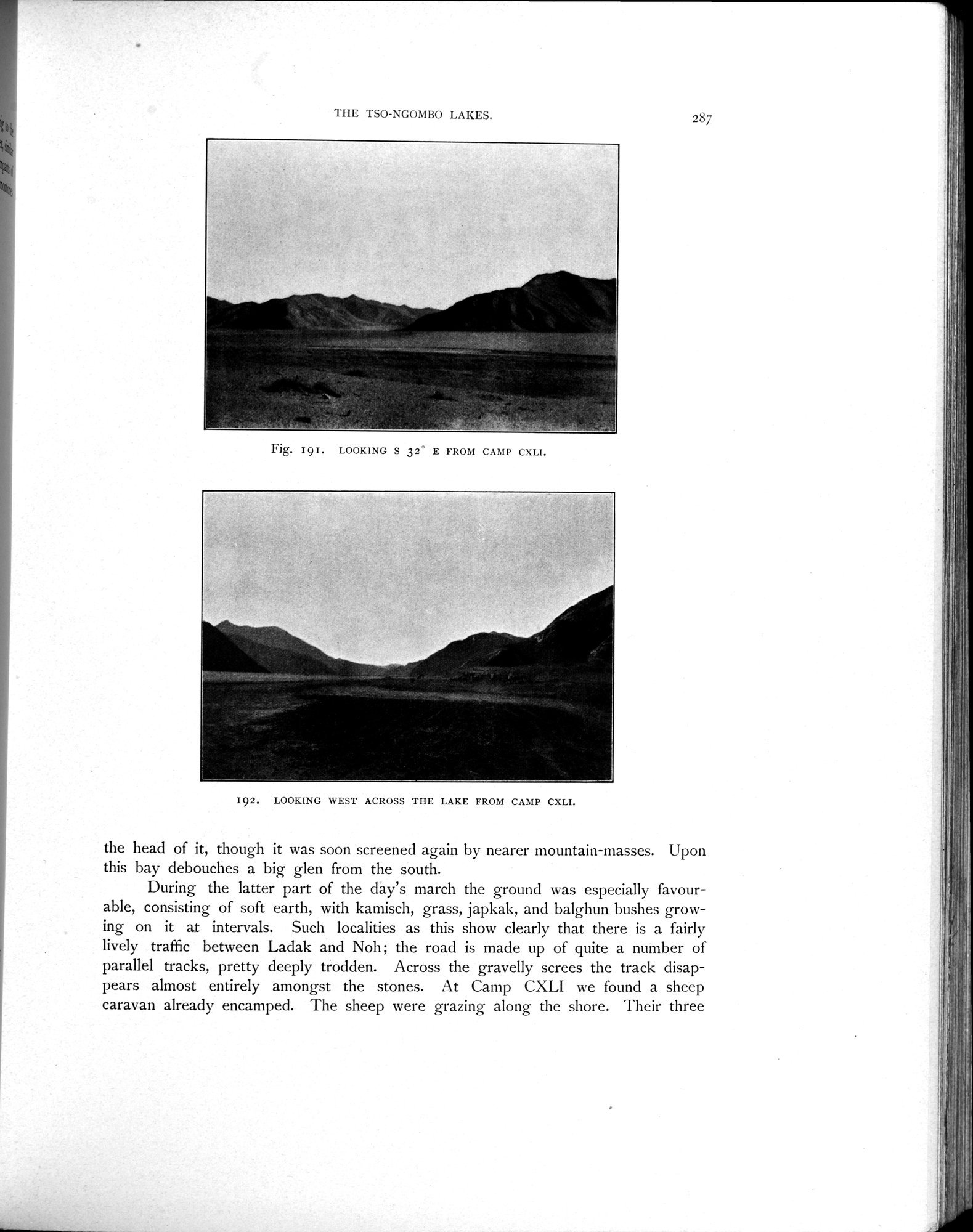 Scientific Results of a Journey in Central Asia, 1899-1902 : vol.4 / 411 ページ（白黒高解像度画像）