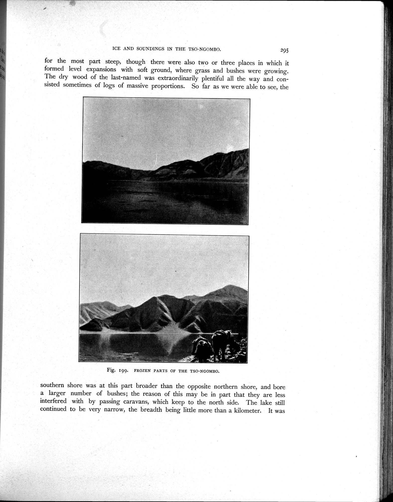 Scientific Results of a Journey in Central Asia, 1899-1902 : vol.4 / Page 427 (Grayscale High Resolution Image)
