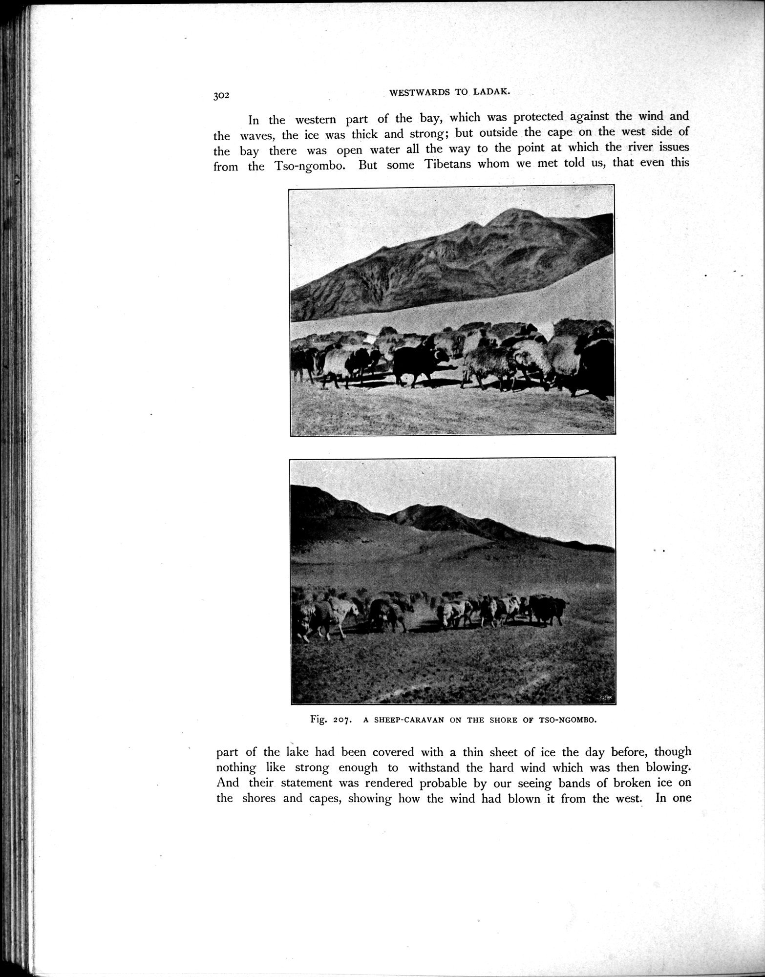 Scientific Results of a Journey in Central Asia, 1899-1902 : vol.4 / Page 438 (Grayscale High Resolution Image)
