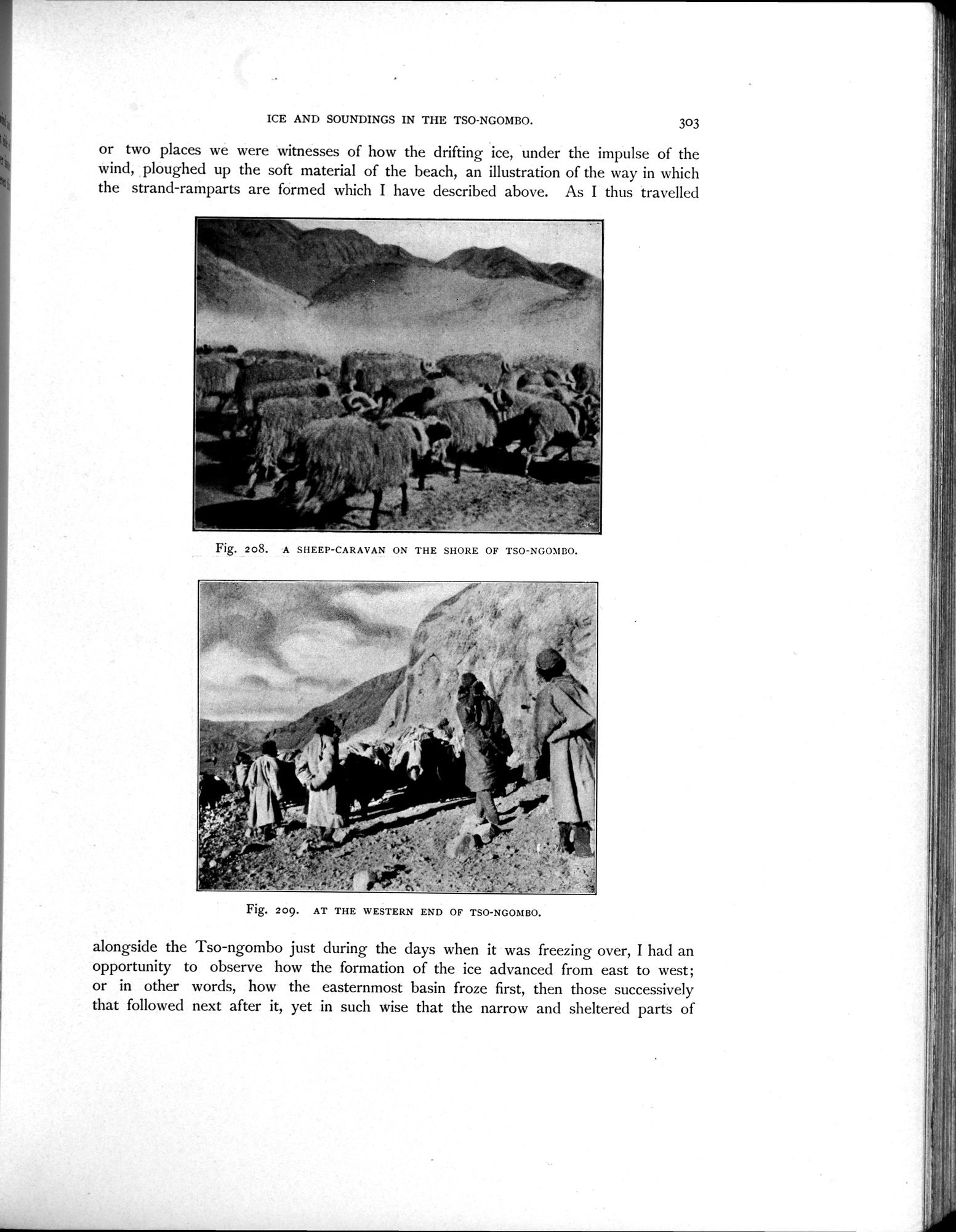 Scientific Results of a Journey in Central Asia, 1899-1902 : vol.4 / Page 439 (Grayscale High Resolution Image)