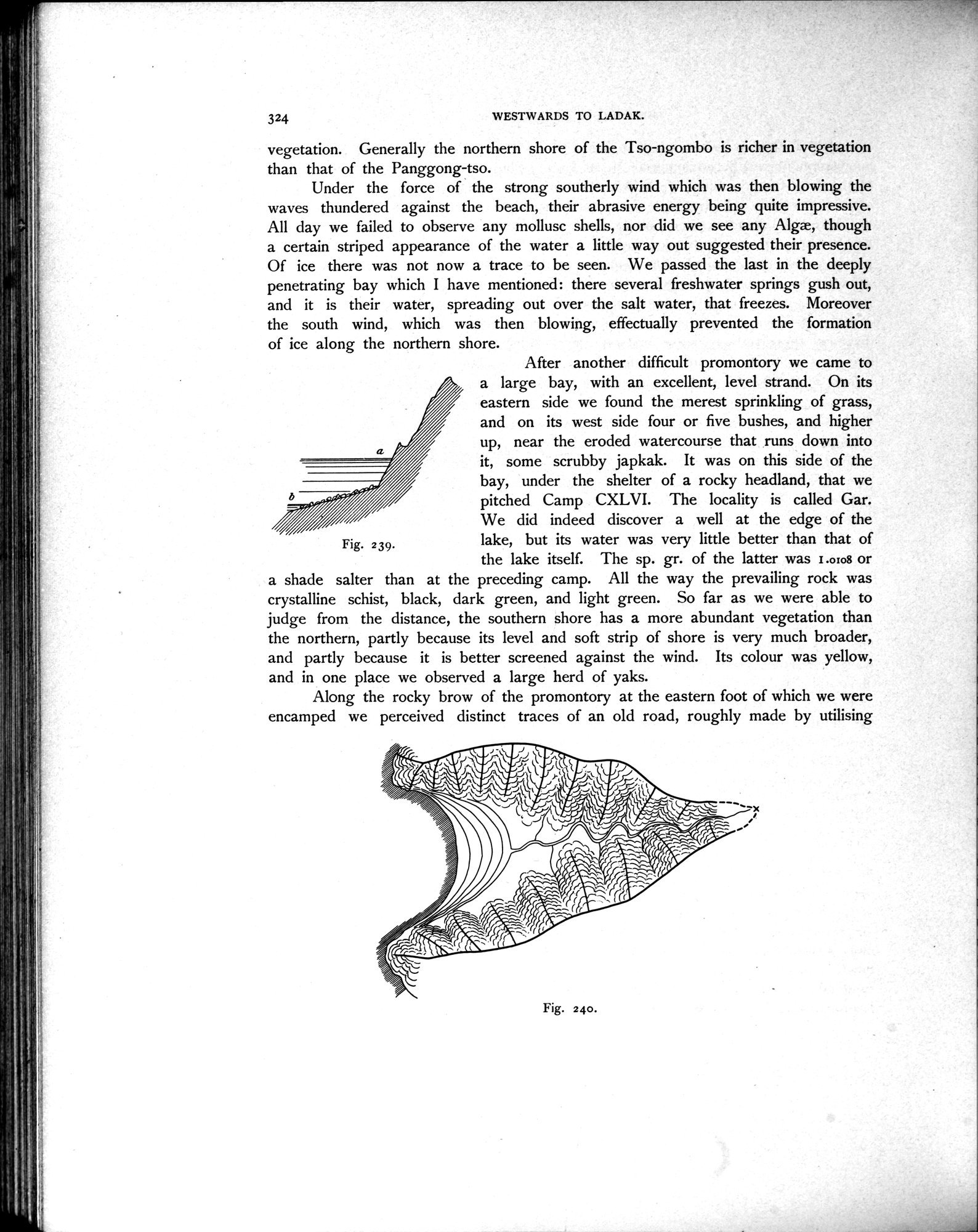 Scientific Results of a Journey in Central Asia, 1899-1902 : vol.4 / Page 462 (Grayscale High Resolution Image)