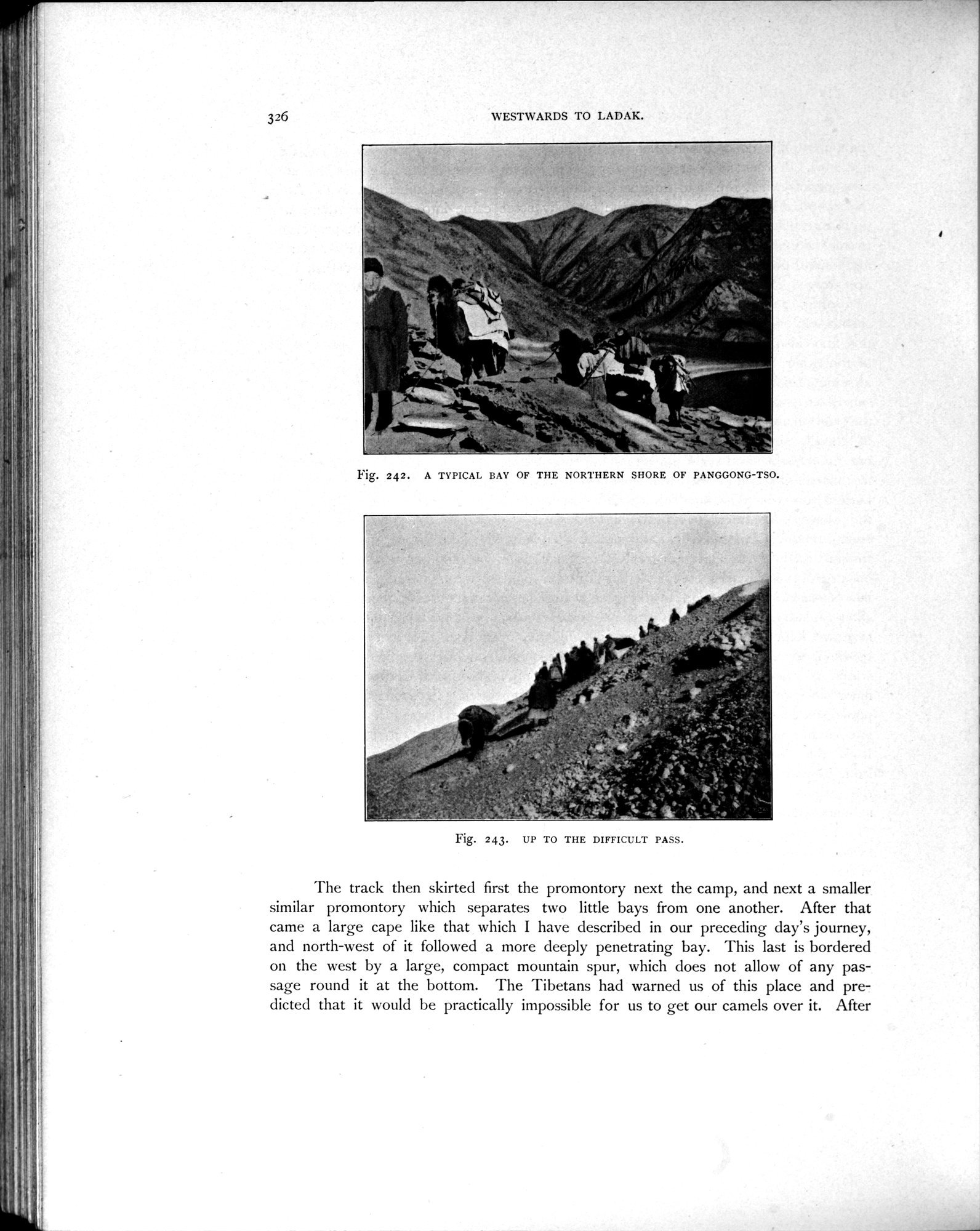 Scientific Results of a Journey in Central Asia, 1899-1902 : vol.4 / Page 464 (Grayscale High Resolution Image)