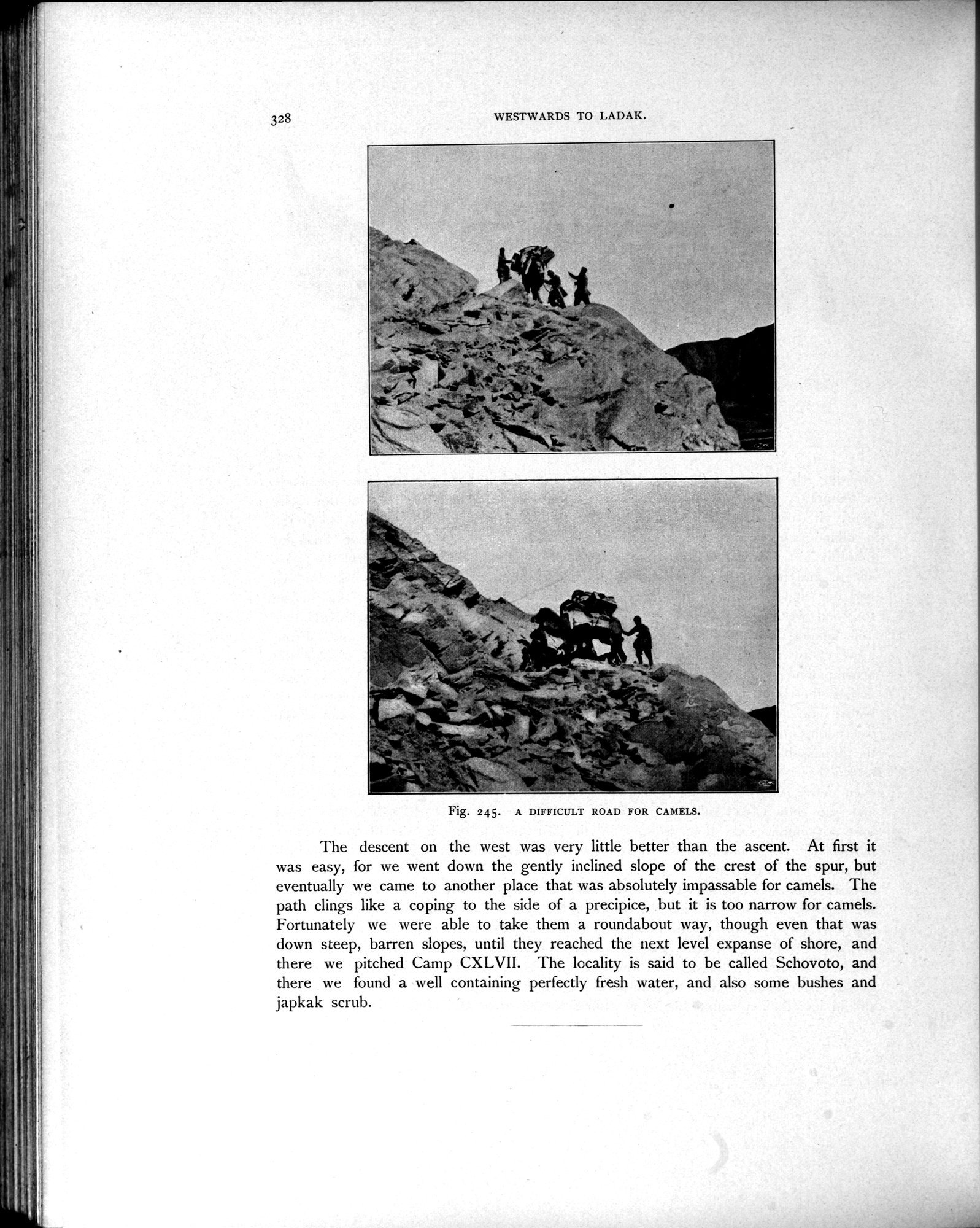 Scientific Results of a Journey in Central Asia, 1899-1902 : vol.4 / Page 466 (Grayscale High Resolution Image)