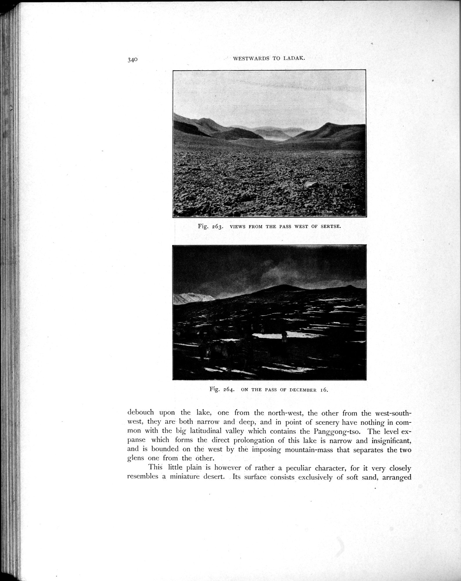 Scientific Results of a Journey in Central Asia, 1899-1902 : vol.4 / Page 482 (Grayscale High Resolution Image)