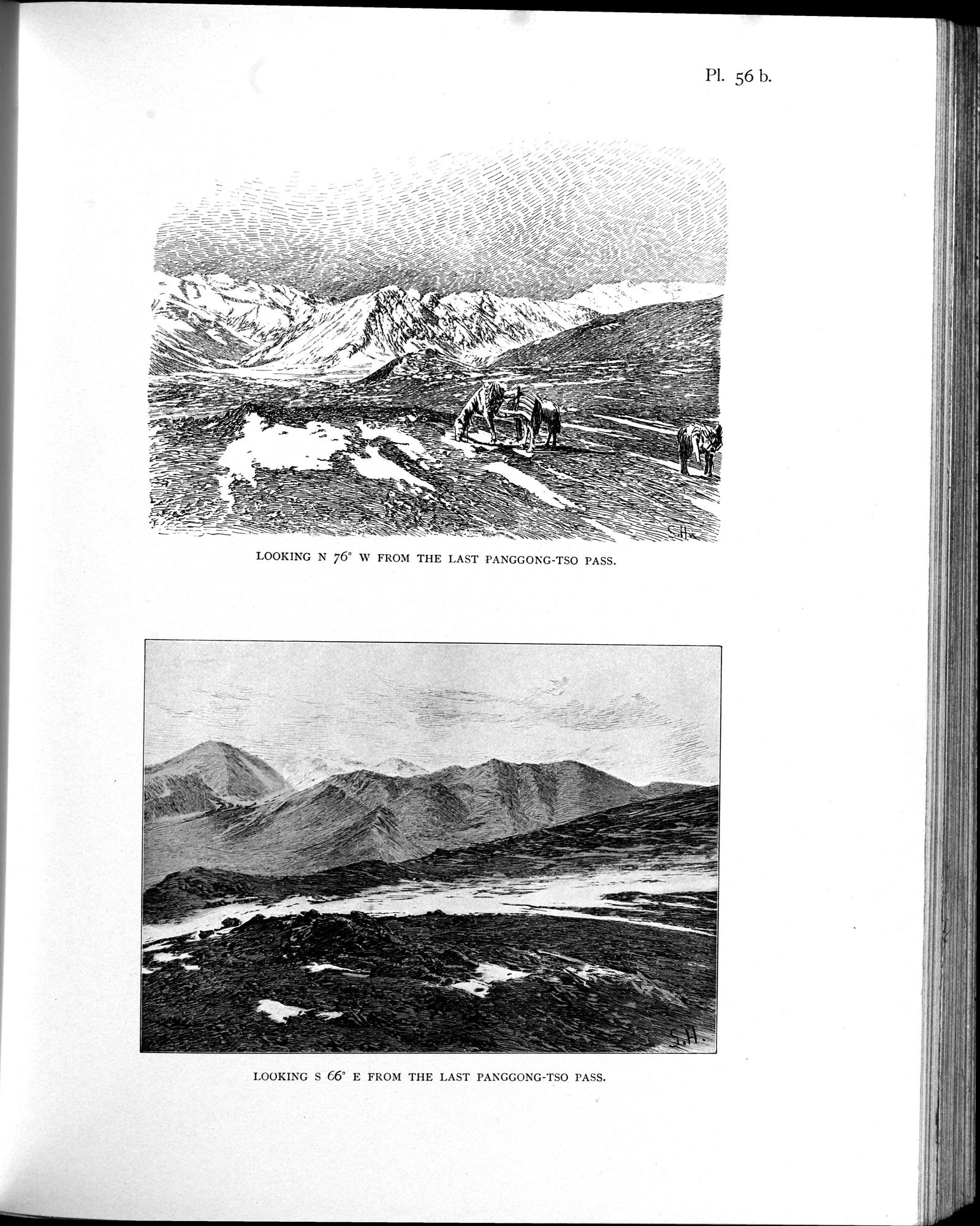 Scientific Results of a Journey in Central Asia, 1899-1902 : vol.4 / 491 ページ（白黒高解像度画像）