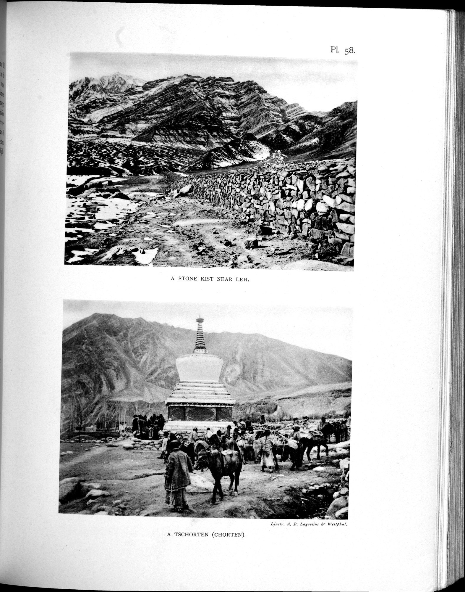 Scientific Results of a Journey in Central Asia, 1899-1902 : vol.4 / 511 ページ（白黒高解像度画像）