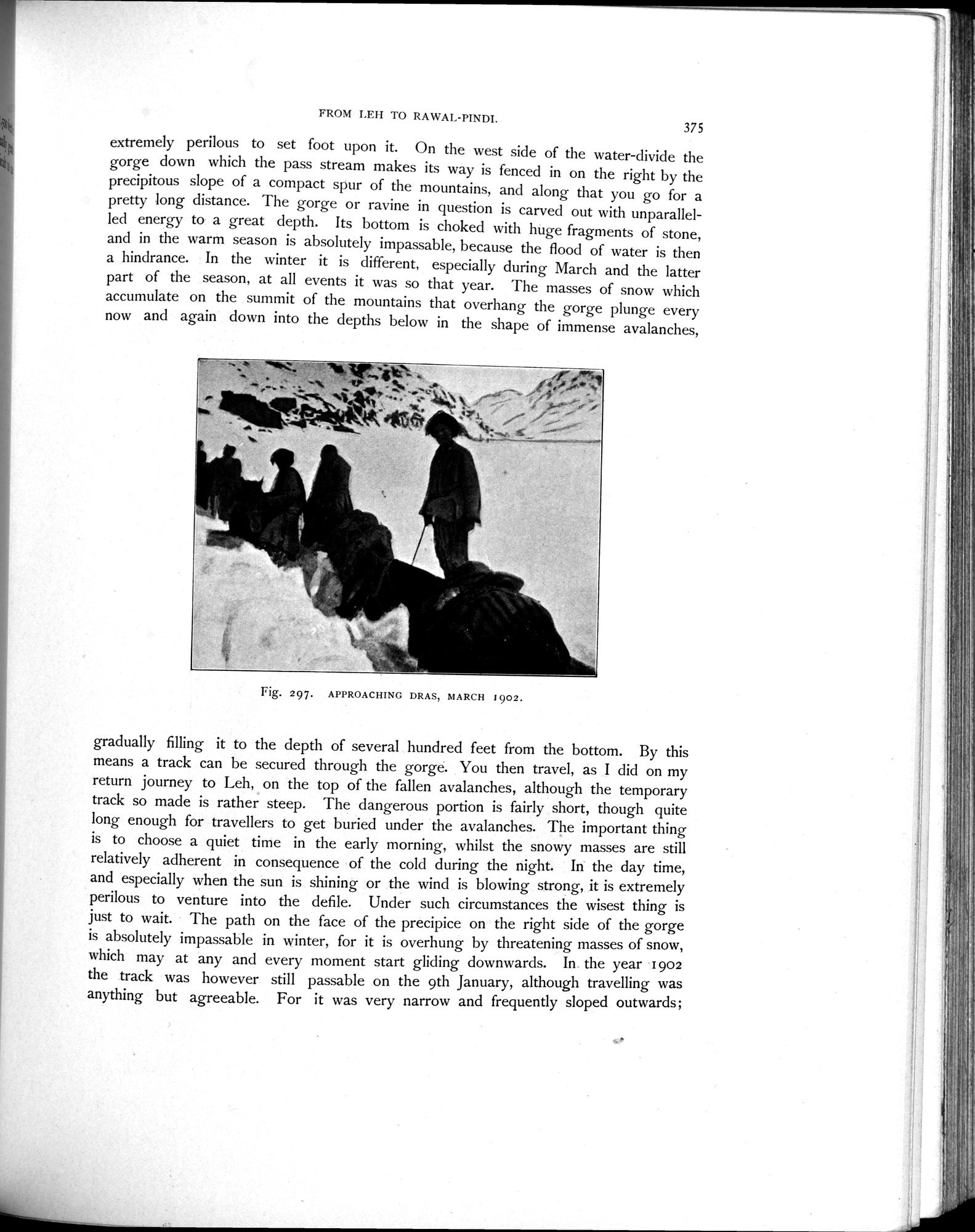 Scientific Results of a Journey in Central Asia, 1899-1902 : vol.4 / 529 ページ（白黒高解像度画像）