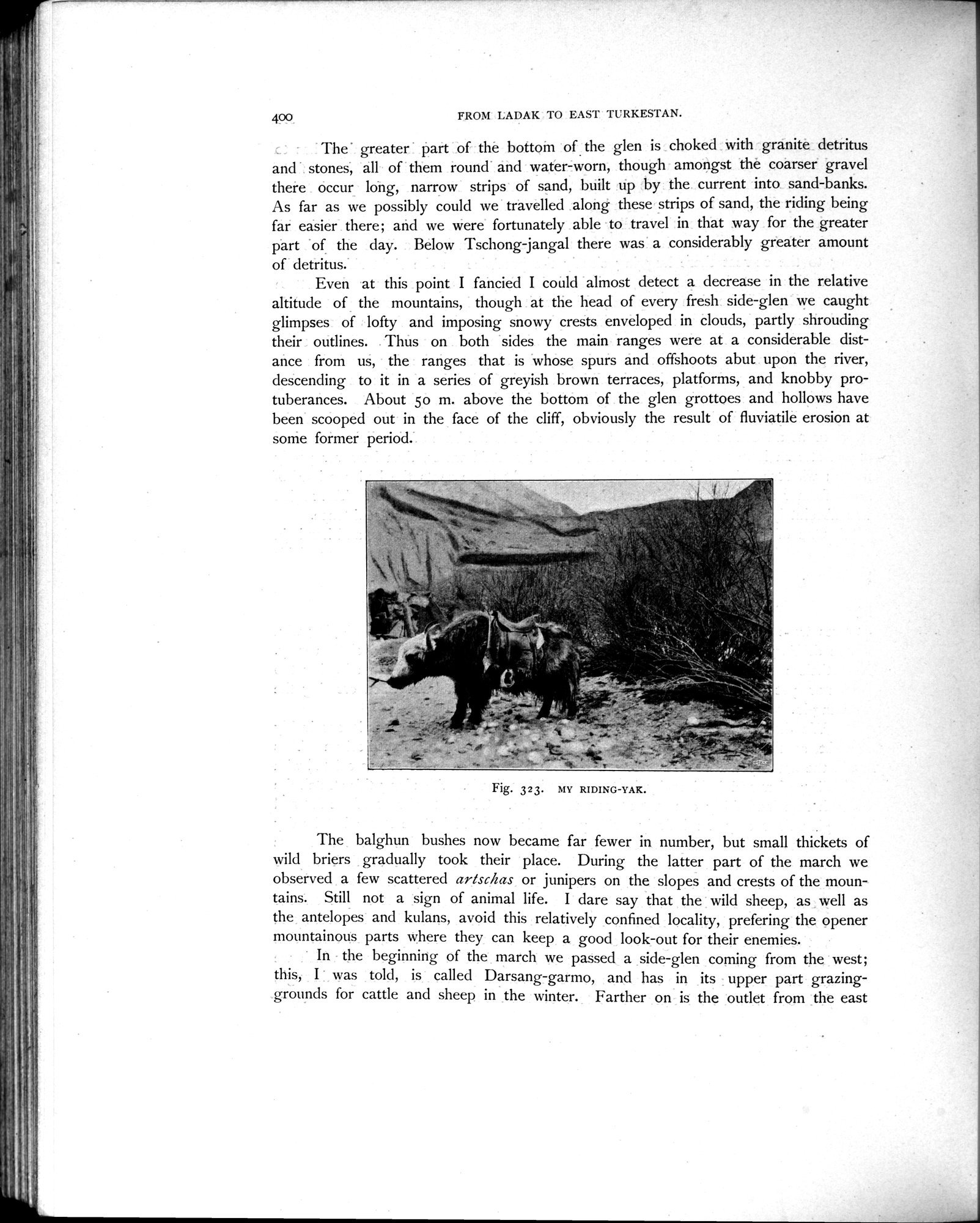 Scientific Results of a Journey in Central Asia, 1899-1902 : vol.4 / Page 558 (Grayscale High Resolution Image)