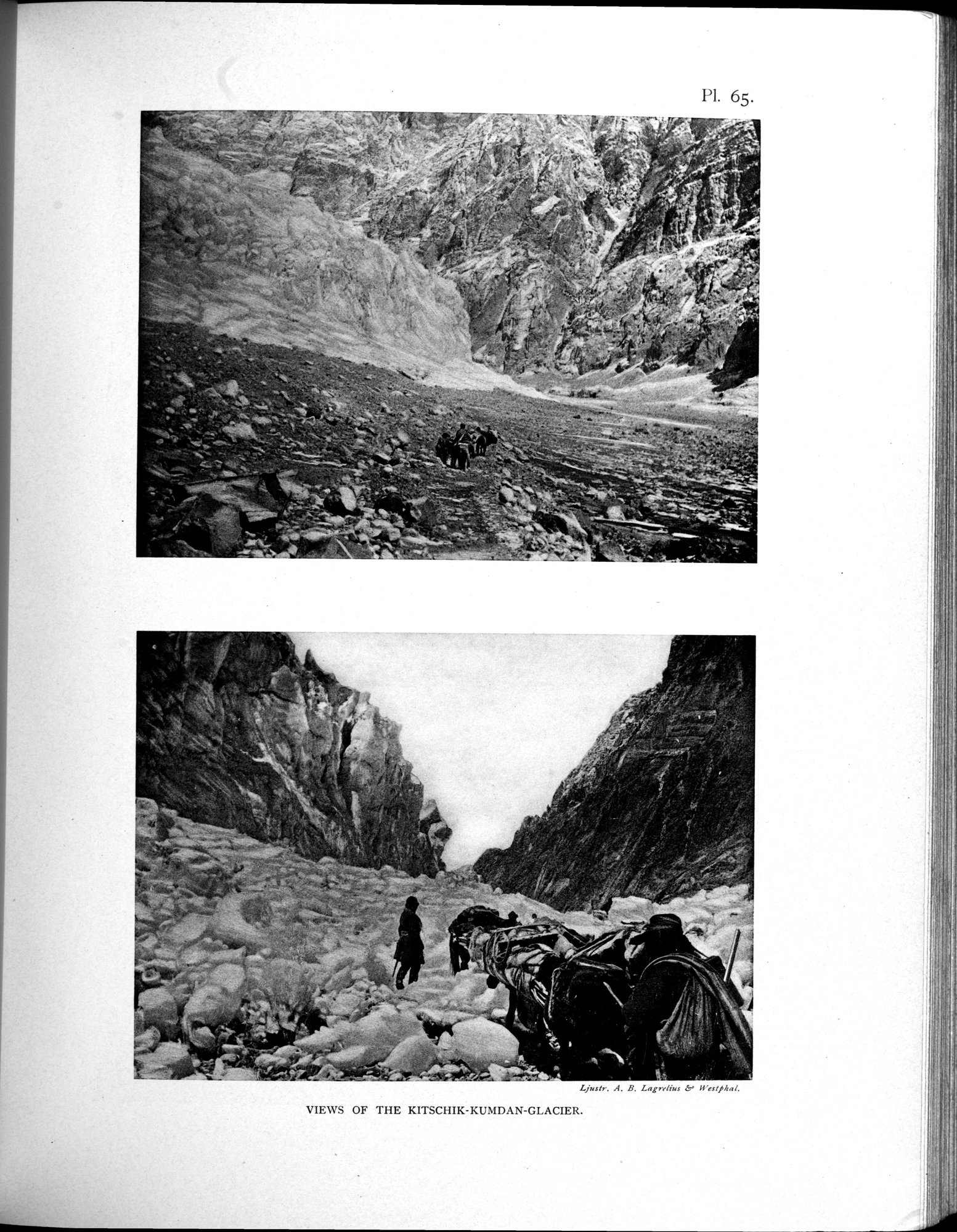 Scientific Results of a Journey in Central Asia, 1899-1902 : vol.4 / Page 593 (Grayscale High Resolution Image)