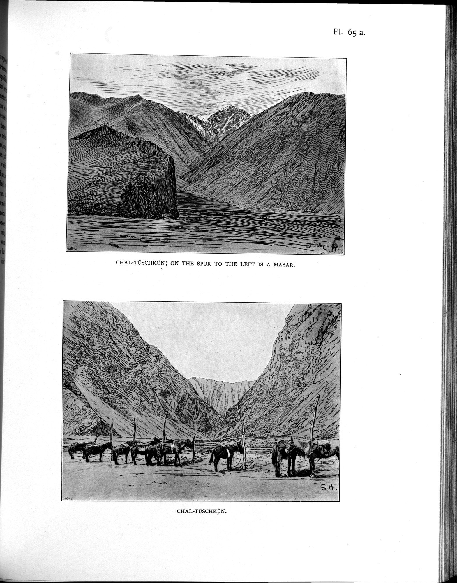 Scientific Results of a Journey in Central Asia, 1899-1902 : vol.4 / Page 603 (Grayscale High Resolution Image)