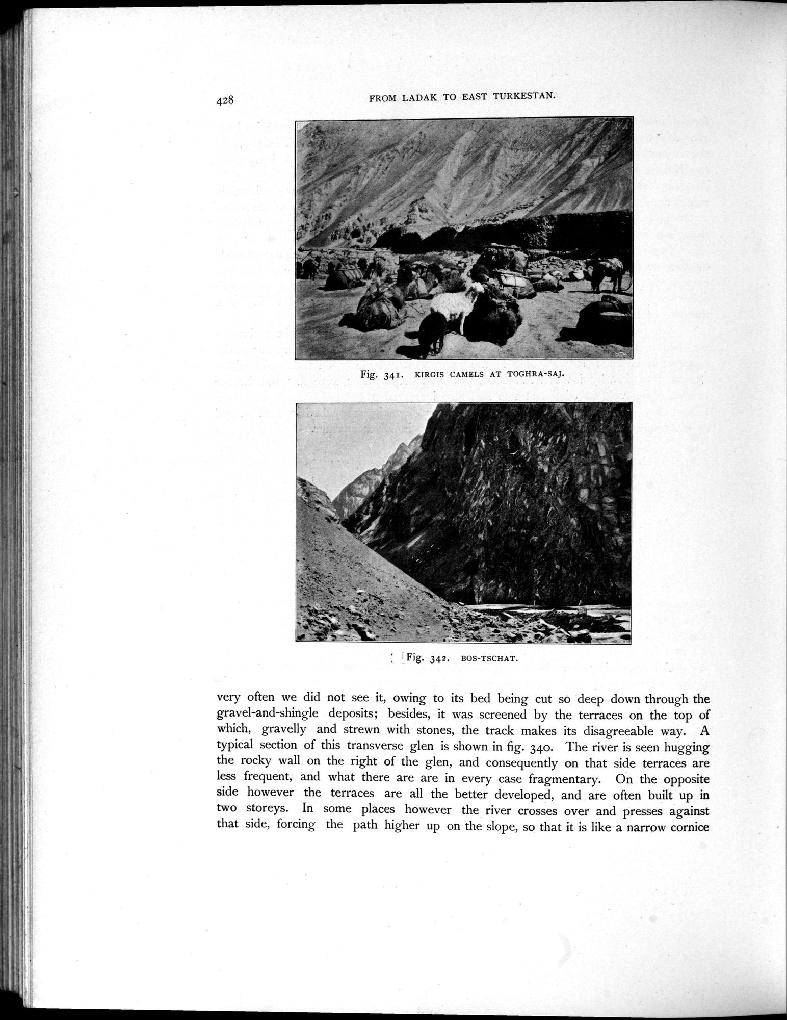 Scientific Results of a Journey in Central Asia, 1899-1902 : vol.4 / Page 608 (Grayscale High Resolution Image)