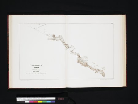 Scientific Results of a Journey in Central Asia, 1899-1902 : vol.8 : Page 64