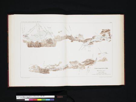 Scientific Results of a Journey in Central Asia, 1899-1902 : vol.8 : Page 84