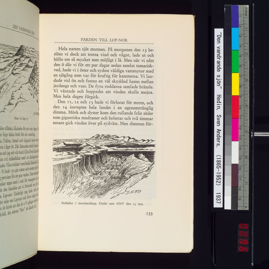 Den Vandrande Sjön : vol.1 / 191 ページ（カラー画像）