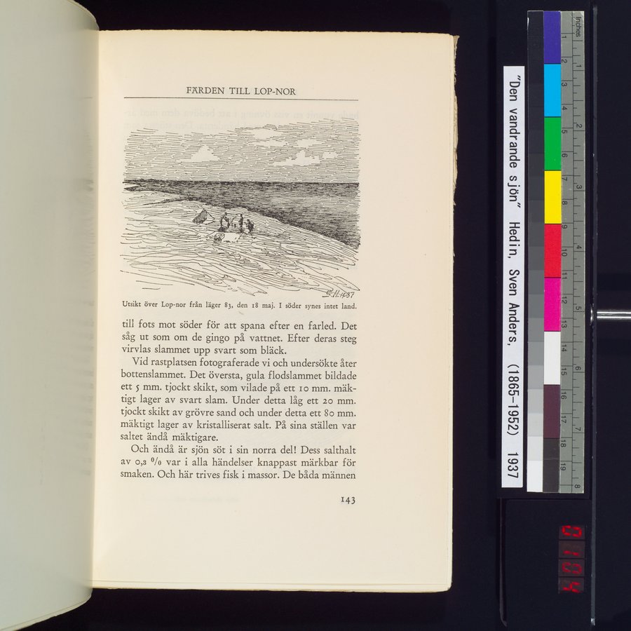 Den Vandrande Sjön : vol.1 / 207 ページ（カラー画像）
