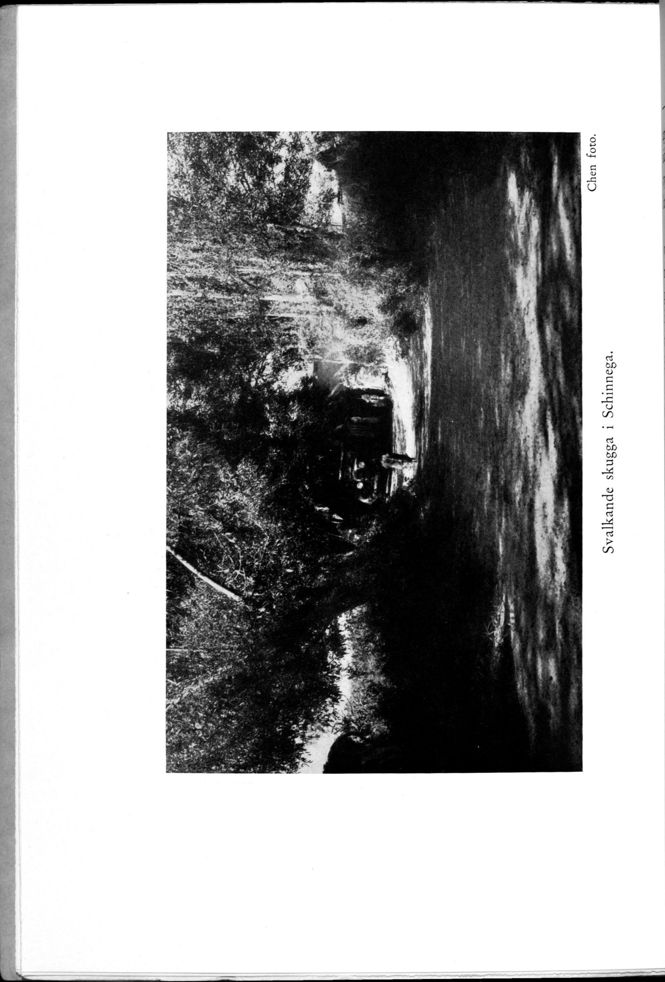 Den Vandrande Sjön : vol.1 / 16 ページ（白黒高解像度画像）