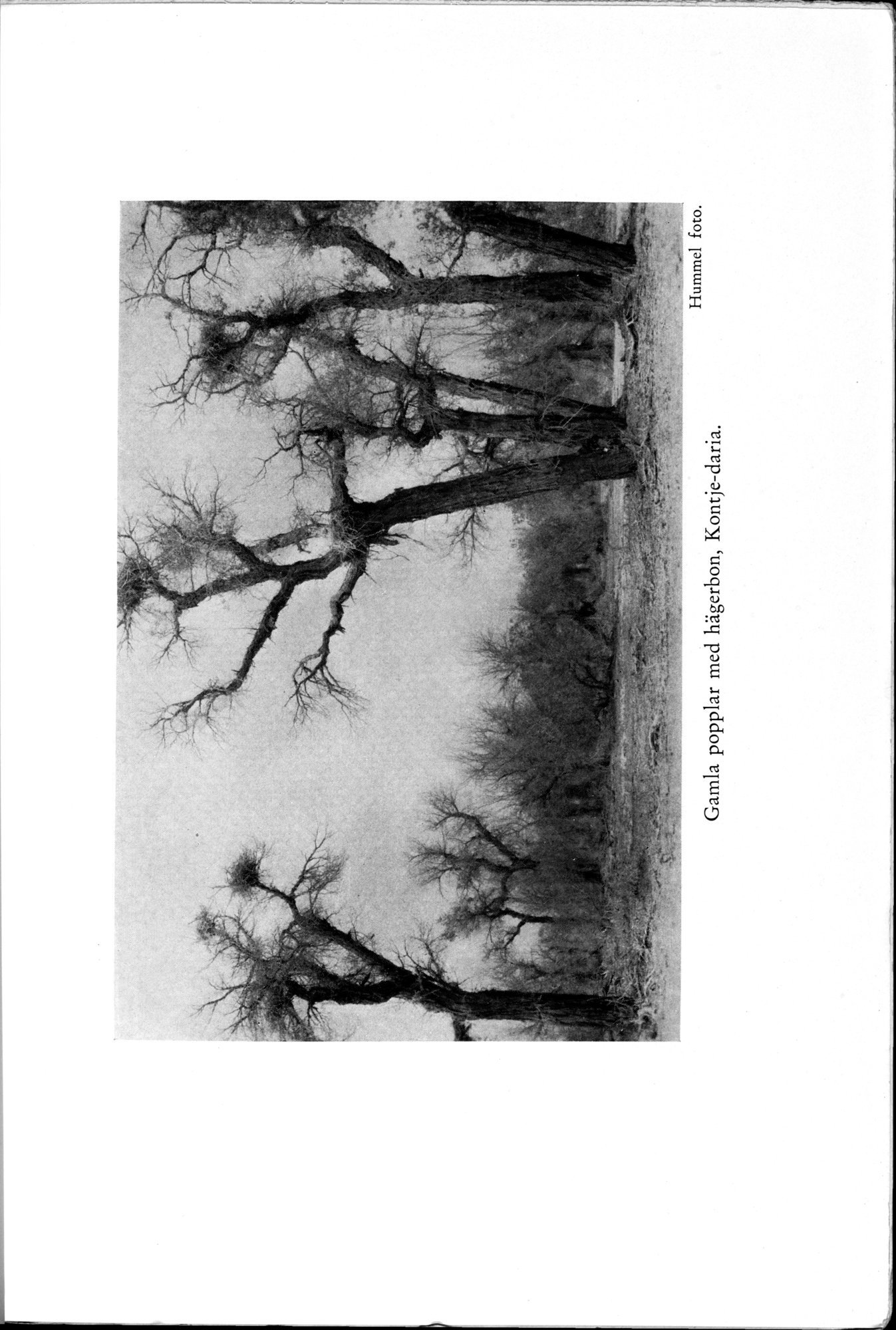 Den Vandrande Sjön : vol.1 / 37 ページ（白黒高解像度画像）