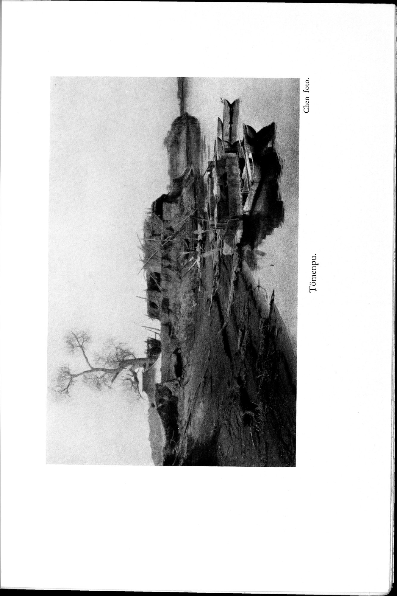 Den Vandrande Sjön : vol.1 / 85 ページ（白黒高解像度画像）