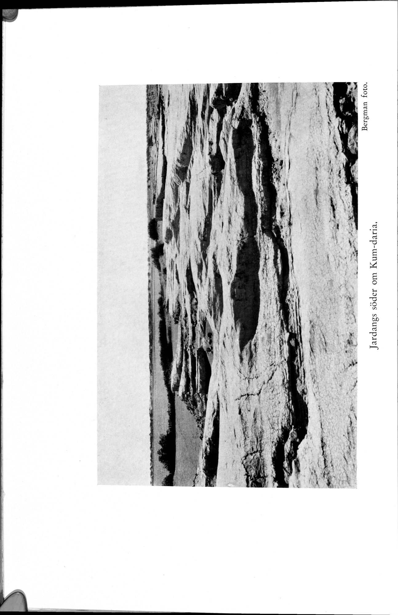 Den Vandrande Sjön : vol.1 / 128 ページ（白黒高解像度画像）