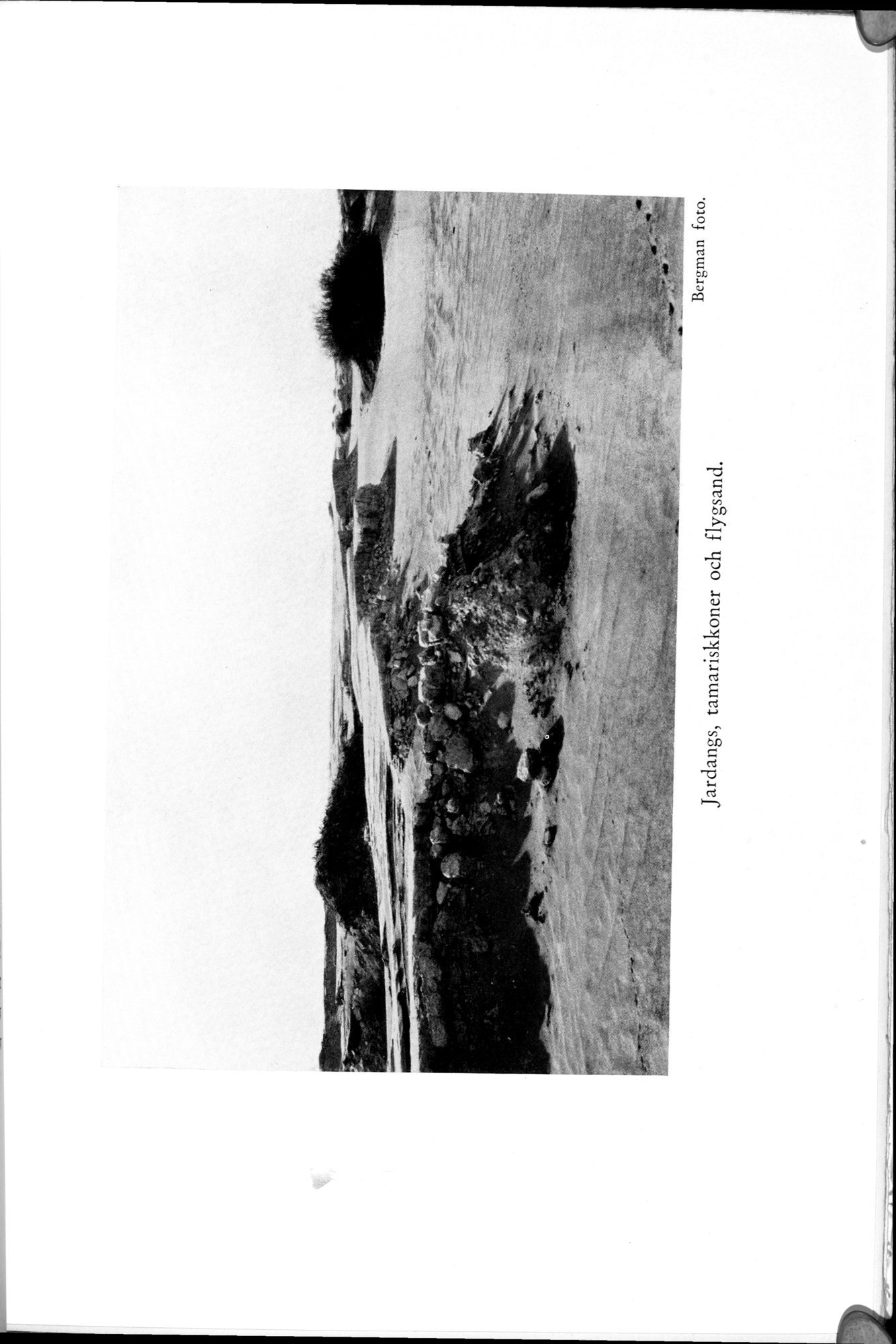 Den Vandrande Sjön : vol.1 / 133 ページ（白黒高解像度画像）