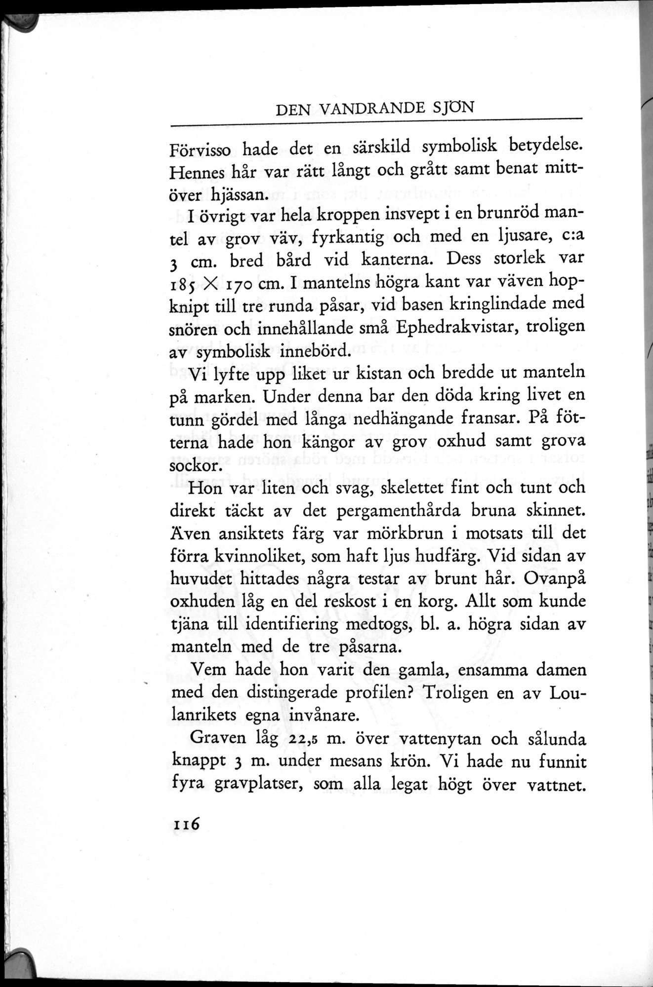 Den Vandrande Sjön : vol.1 / 172 ページ（白黒高解像度画像）